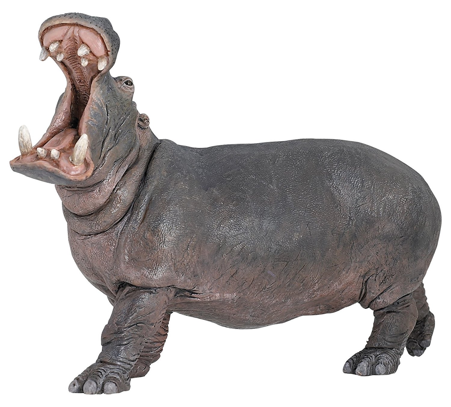 Amazon.com: Papo Wild Animal Kingdom Figure, Hippopotamus: Toys & Games