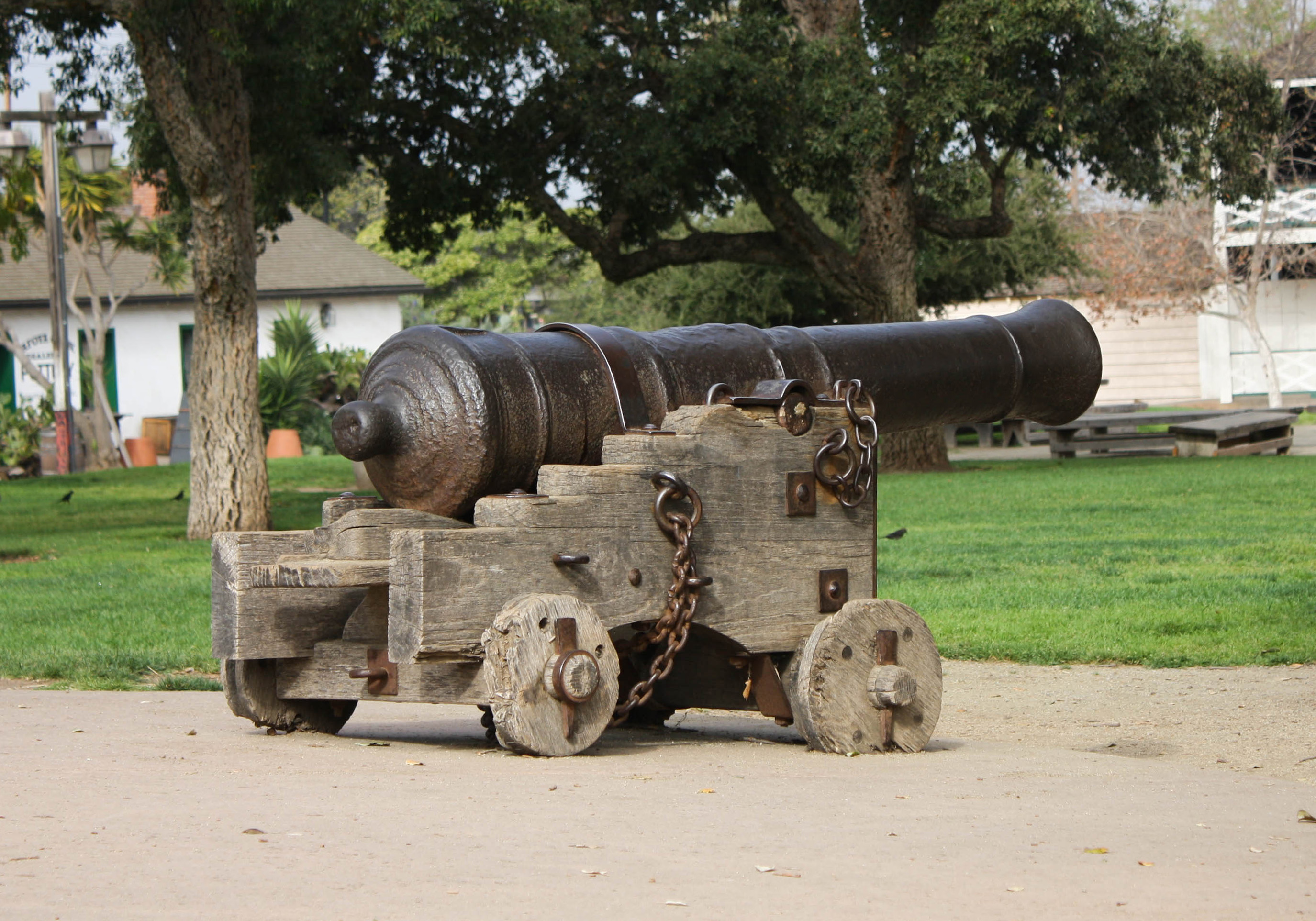 Old cannon photo