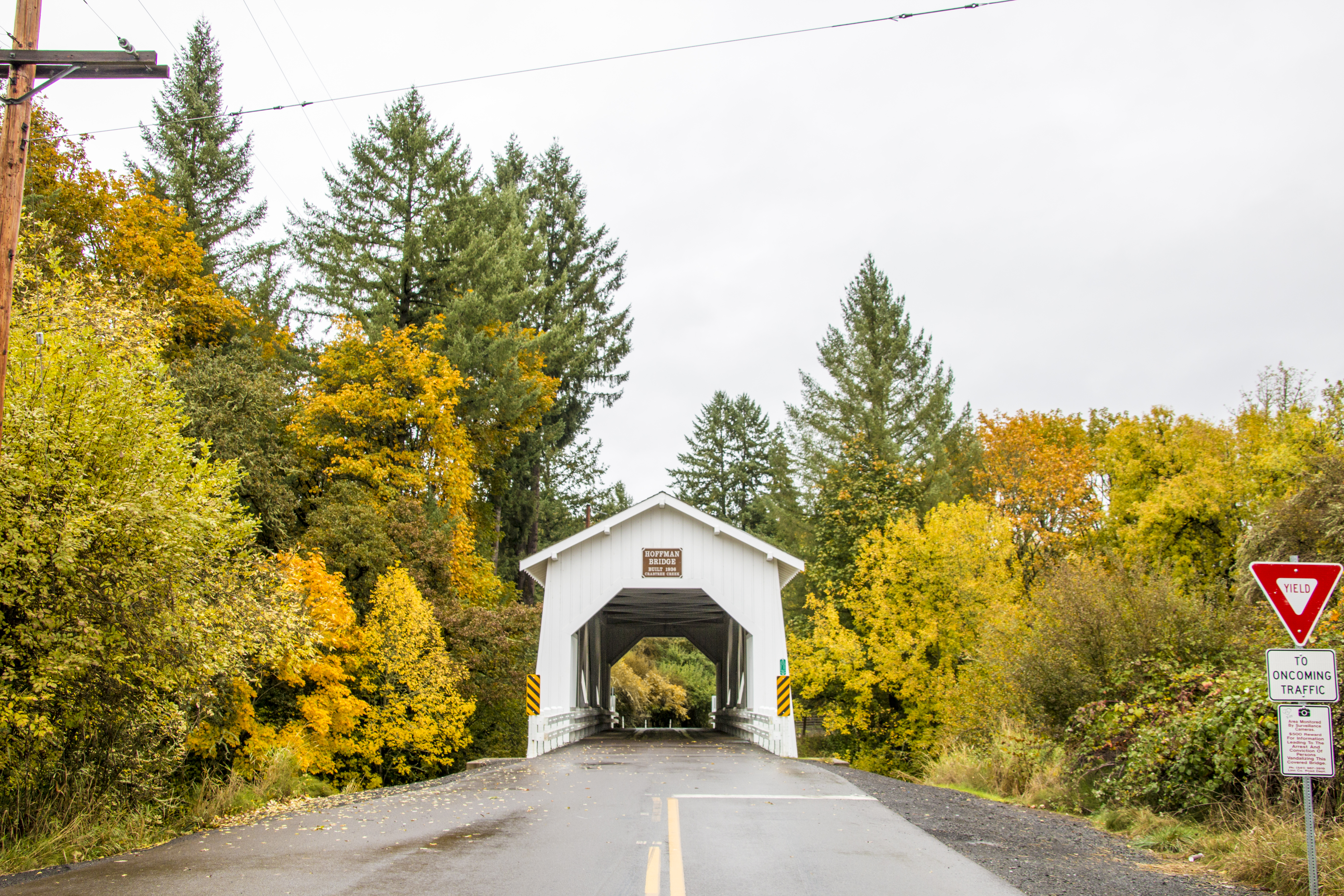 Hoffman covered bridge, oregon, autumn photo