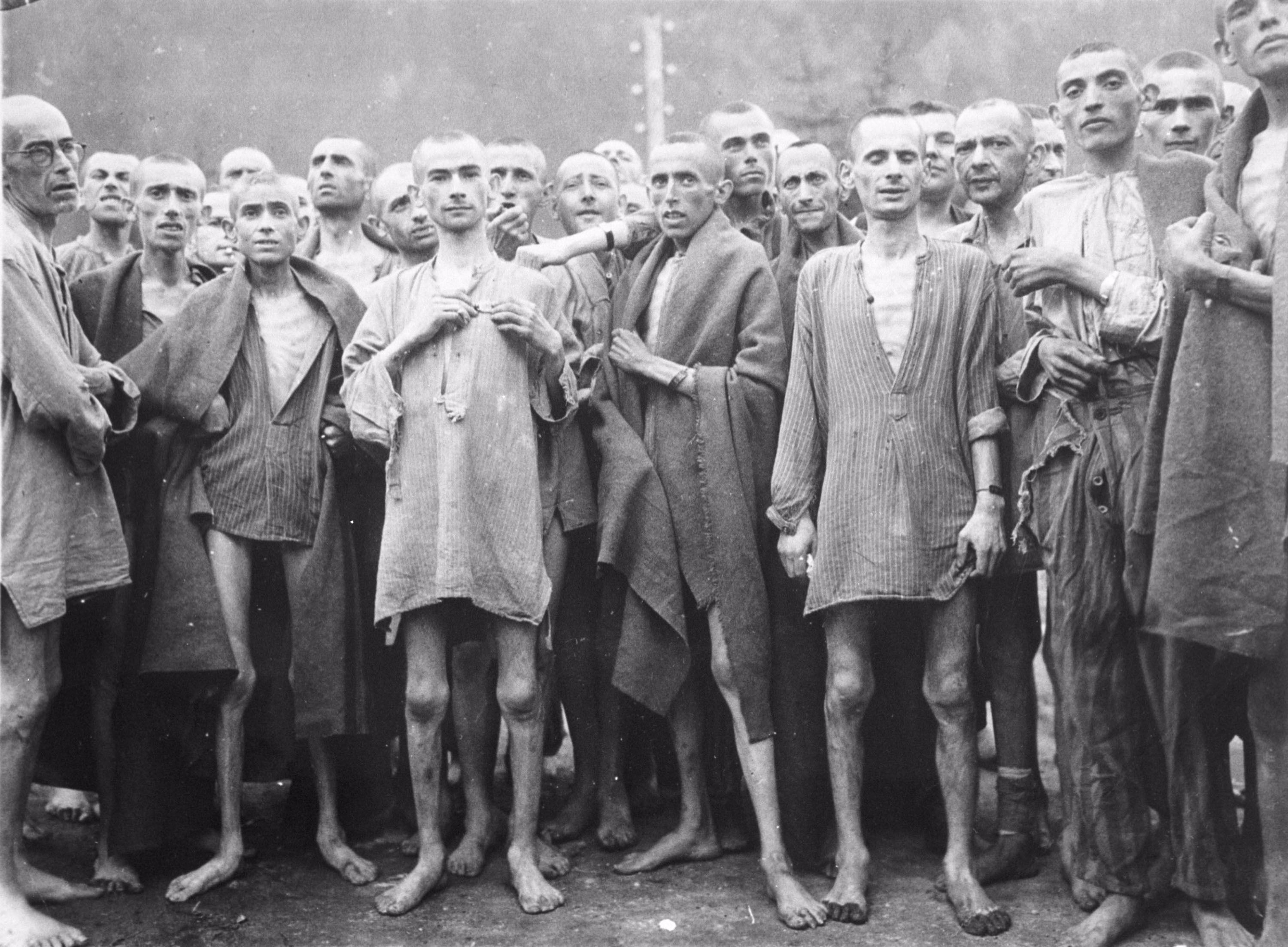 22% Of Millennials Haven't Heard Of The Holocaust – The Forward