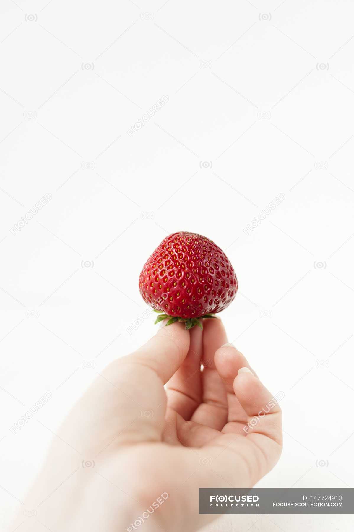 Hand Holding Strawberry — Stock Photo | #147724913