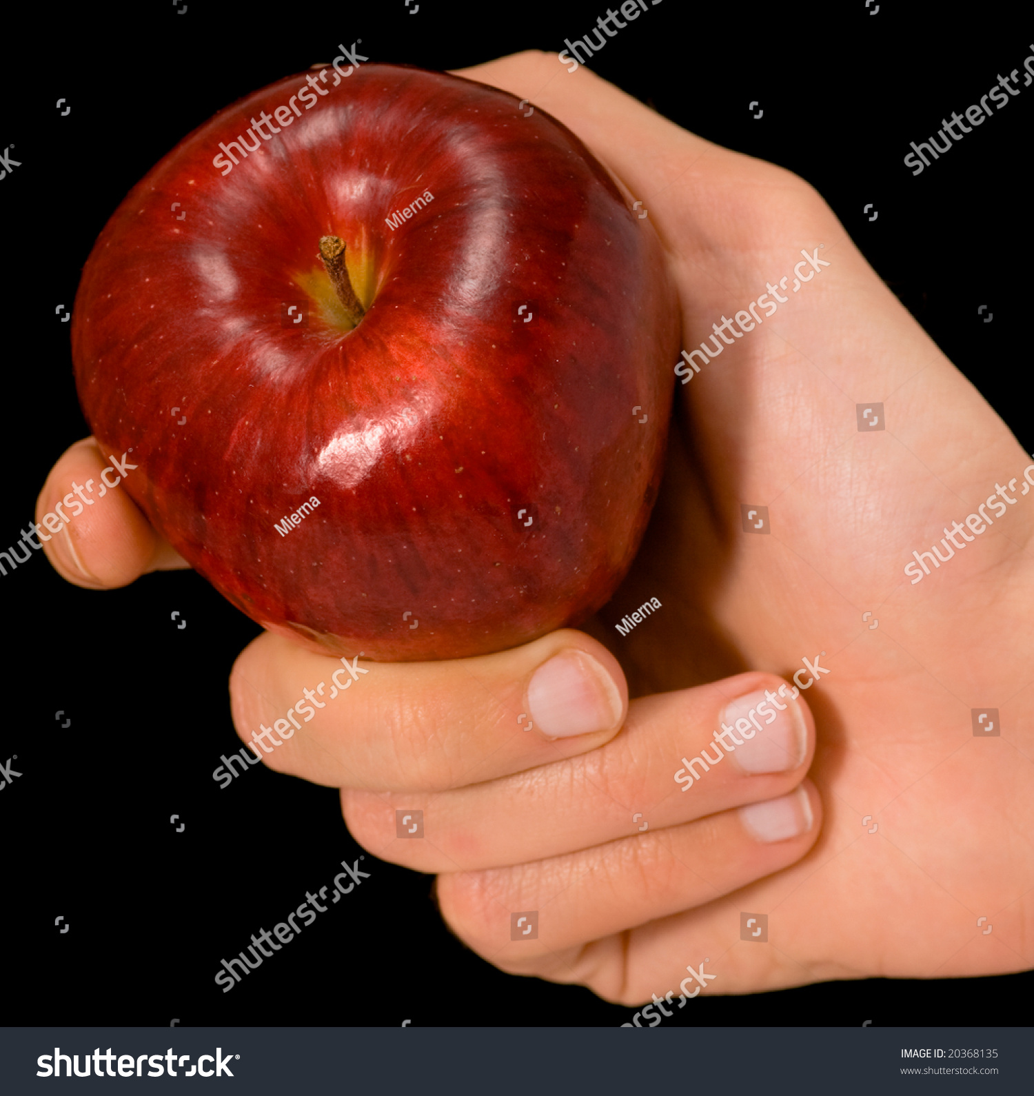Mans Hand Holding Apple Isolated On Stock Photo & Image (Royalty ...