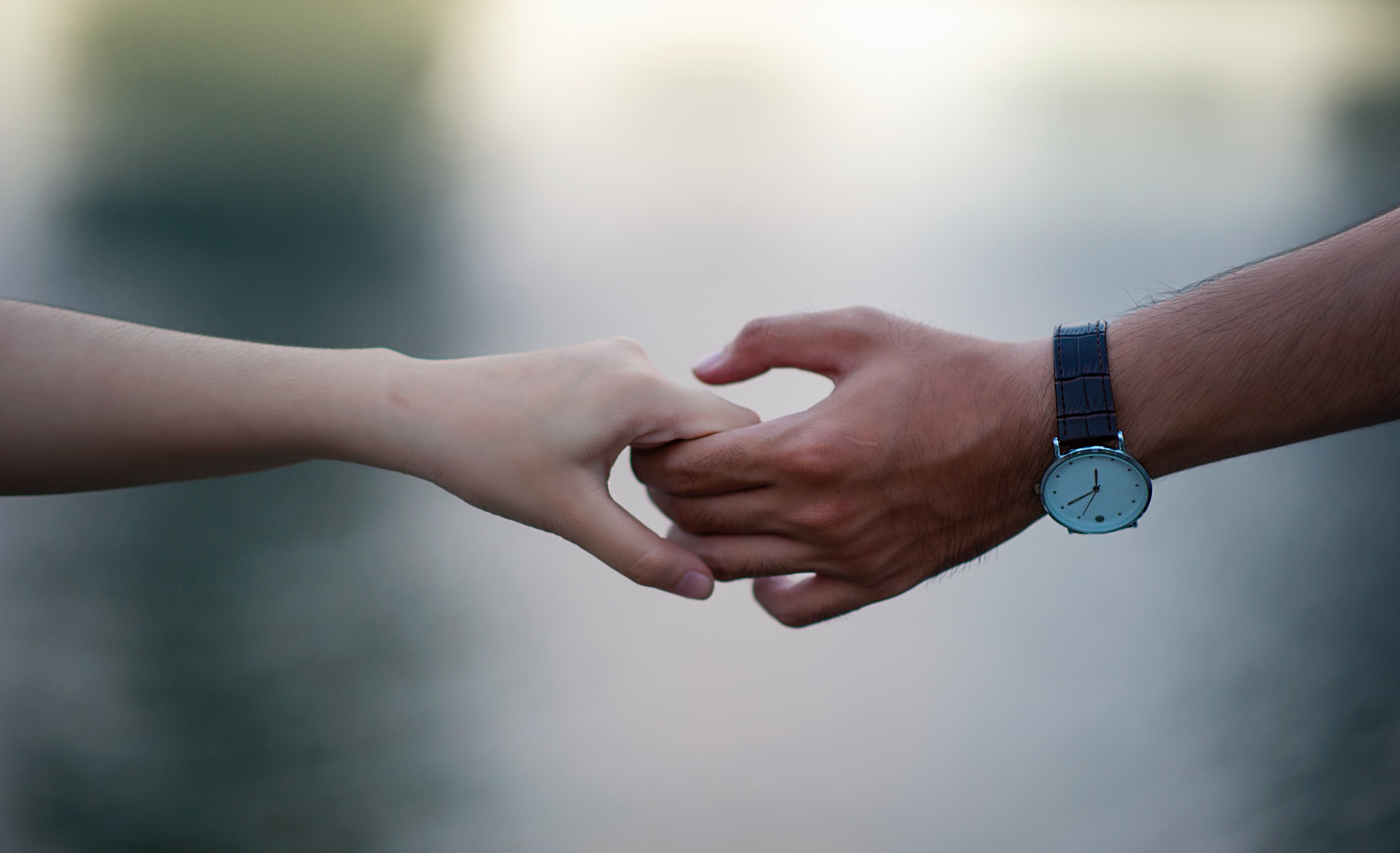 Photo of People Holding Hands · Free Stock Photo