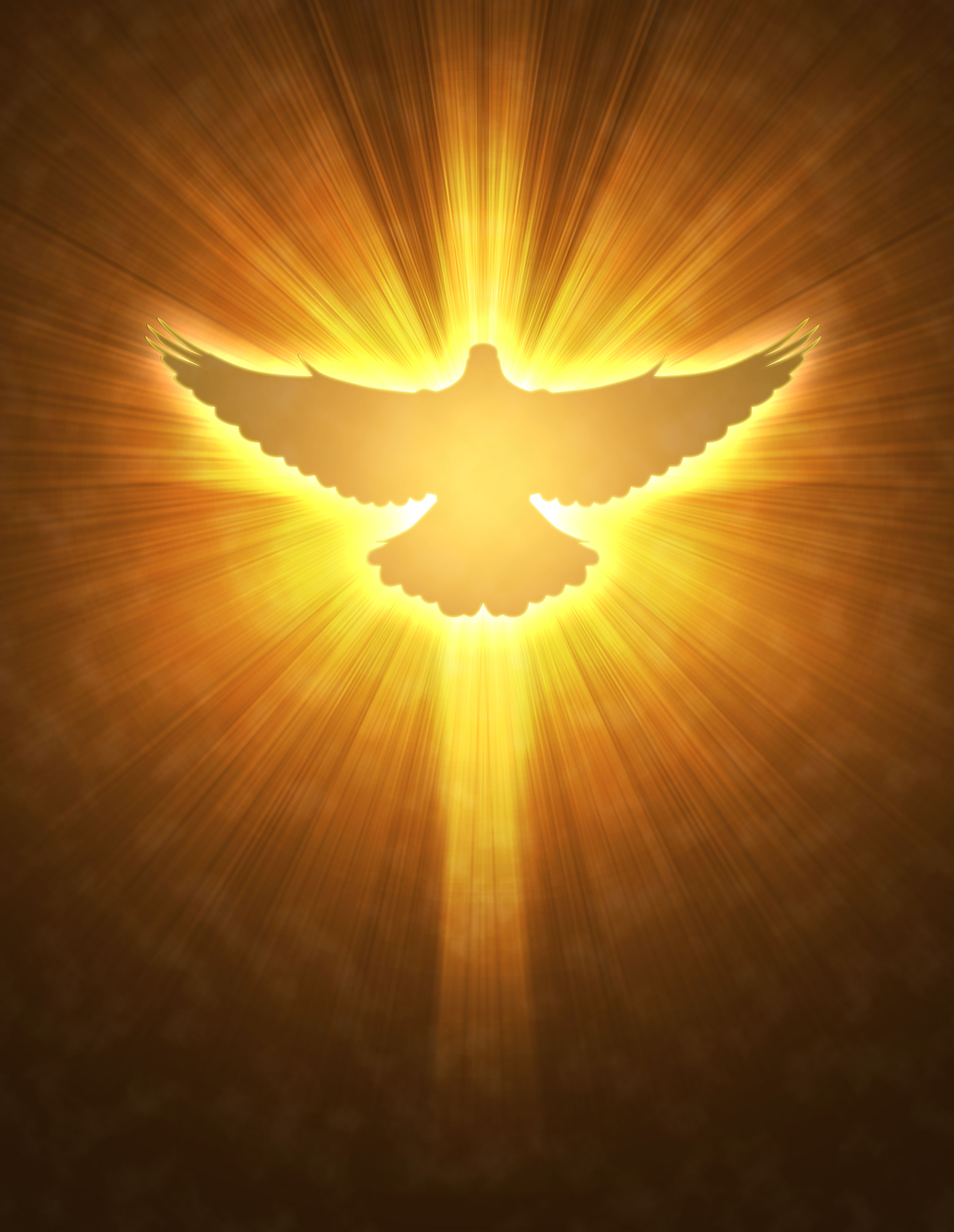 The dove is a symbol of the Holy Spirit that comes down form Heaven ...