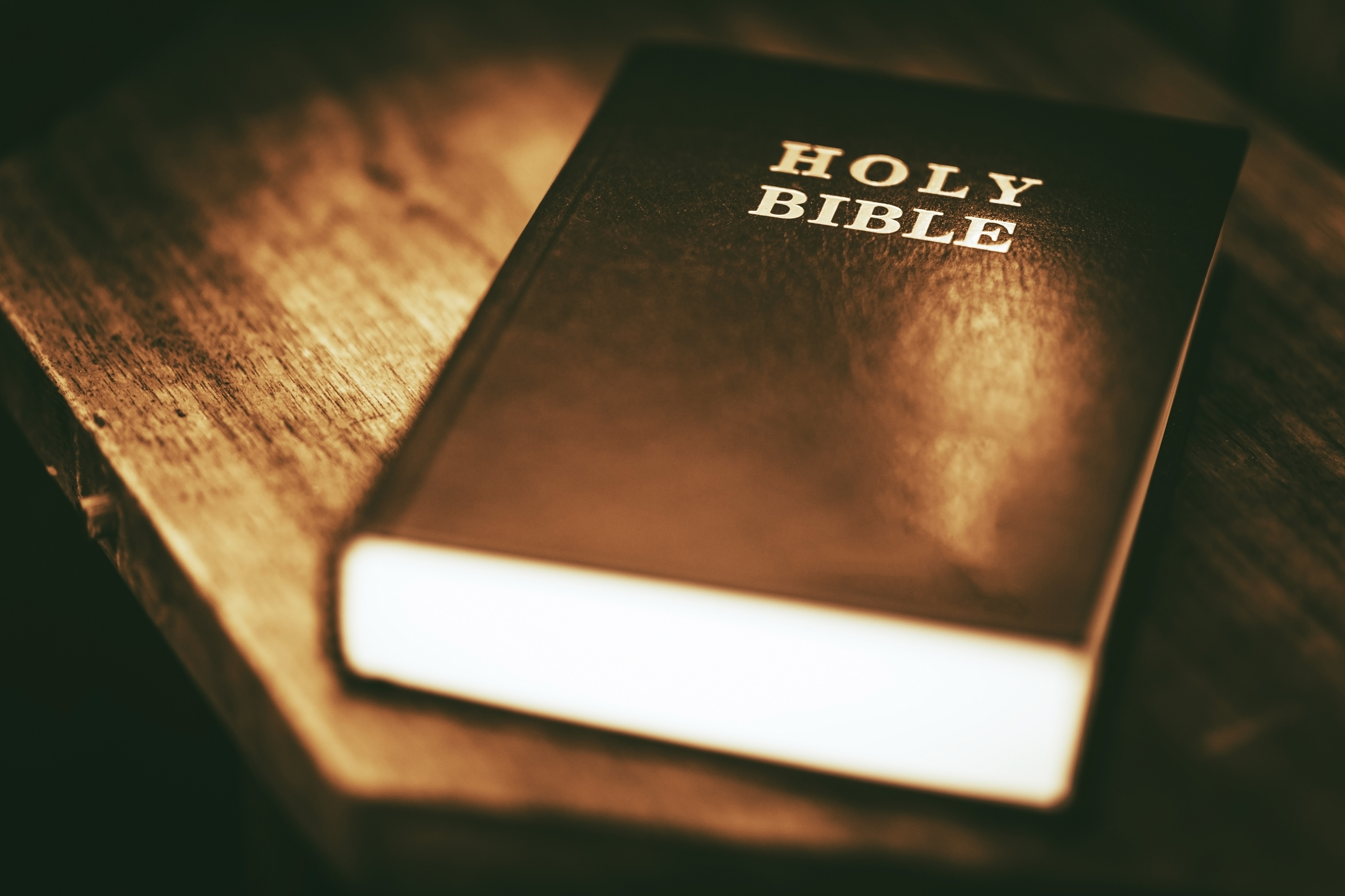 Tennessee makes Bible the state's official book