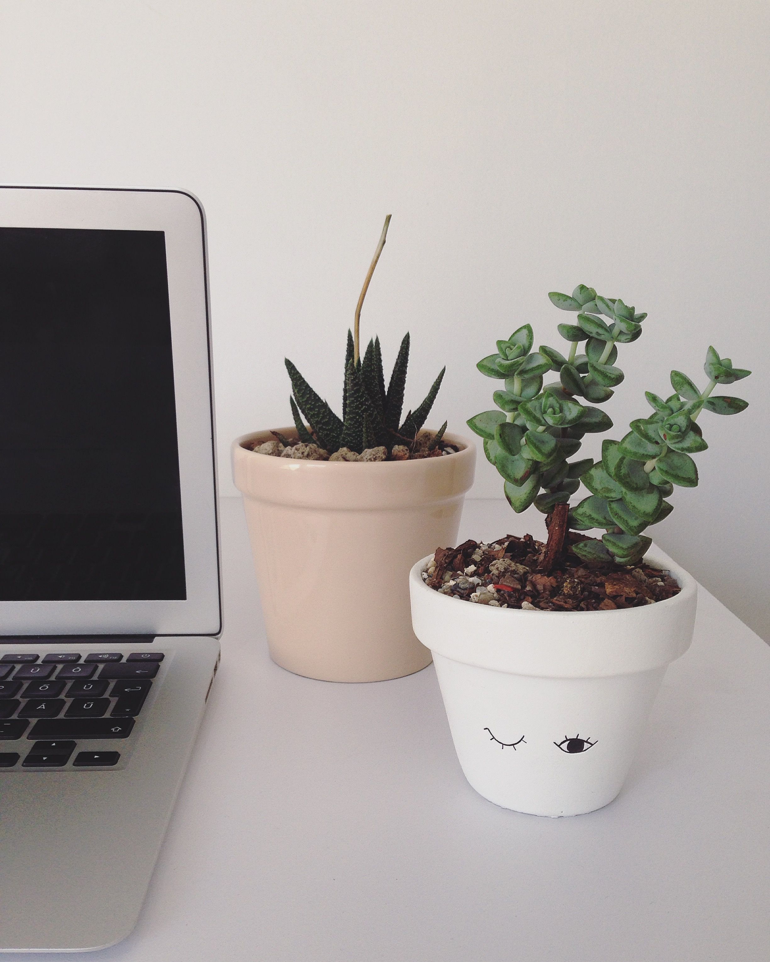 Office look by NANO - Home grown succulents & cactus | Nano Project ...