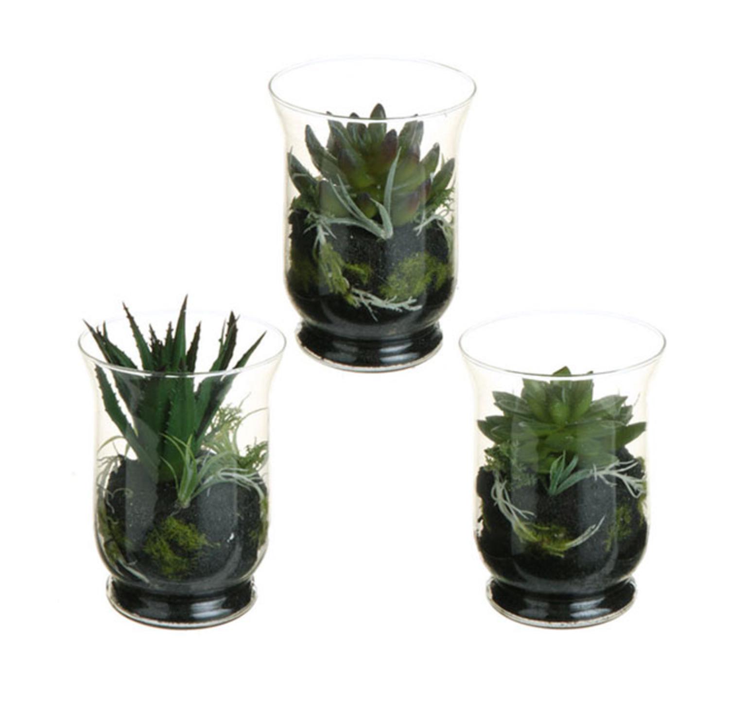 Set of 3 Southwestern Mixed Artificial Cactus and Succulent Plant ...