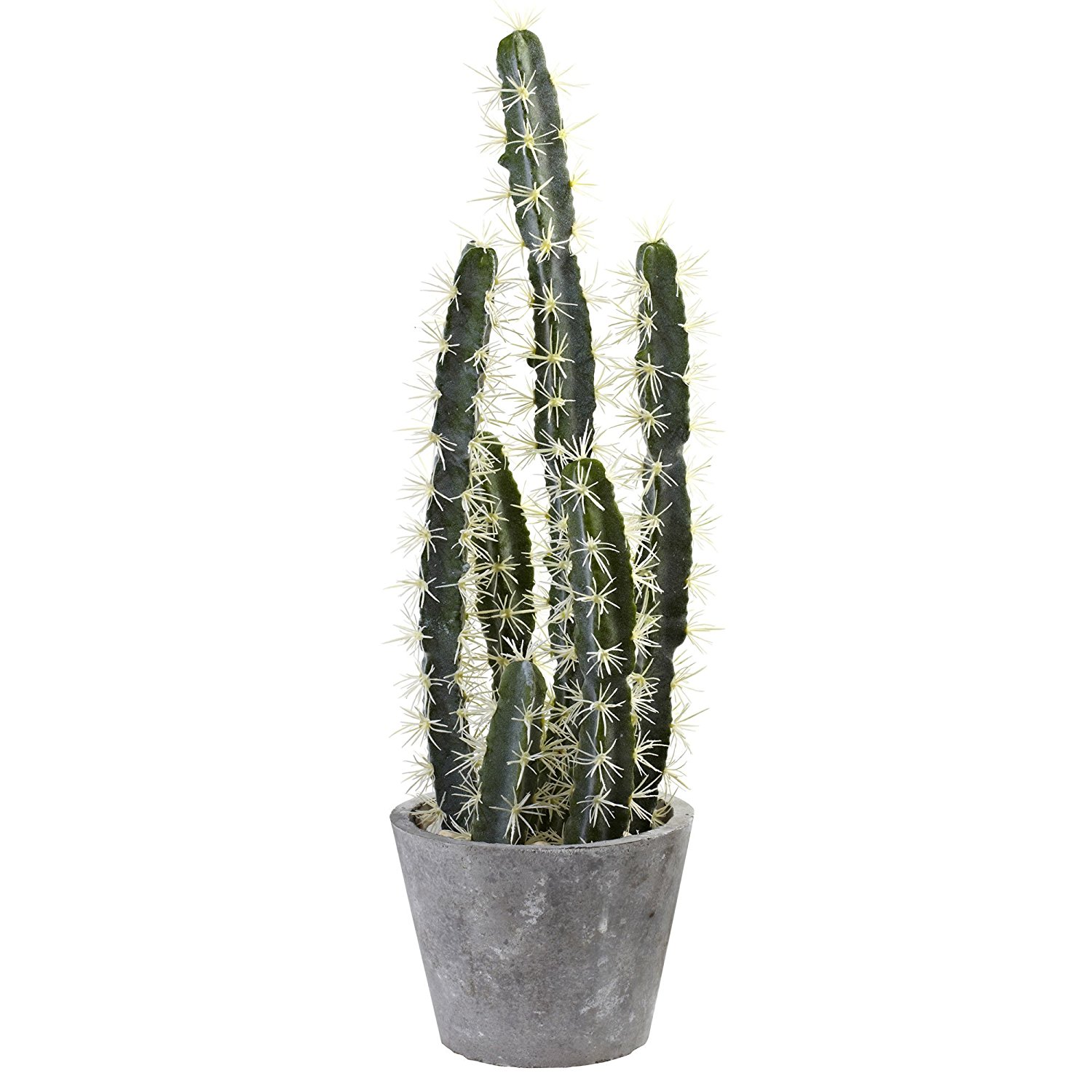 Amazon.com: Nearly Natural 4845 Decorative Cactus Garden with Cement ...