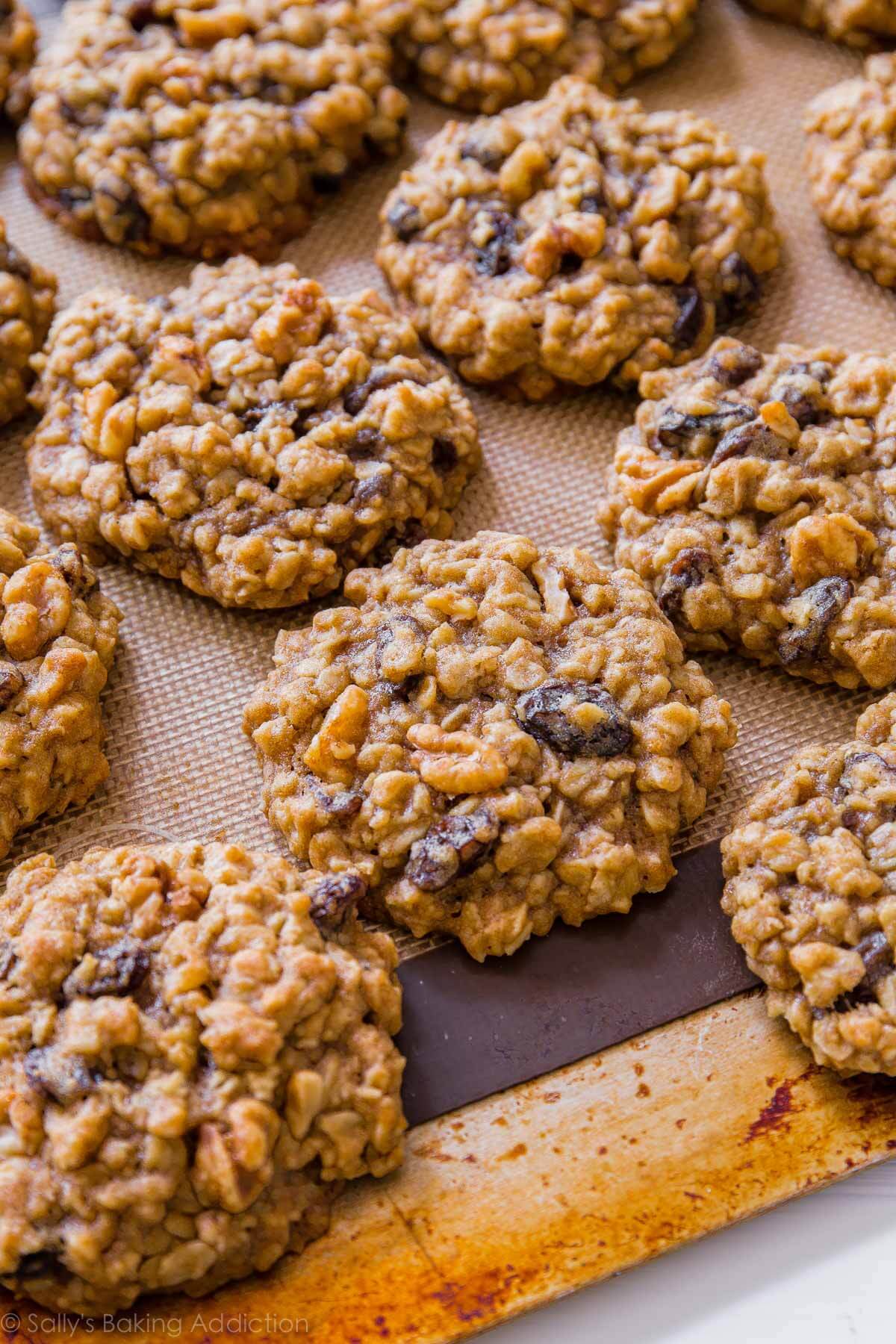 Soft & Chewy Oatmeal Raisin Cookies - Sallys Baking Addiction