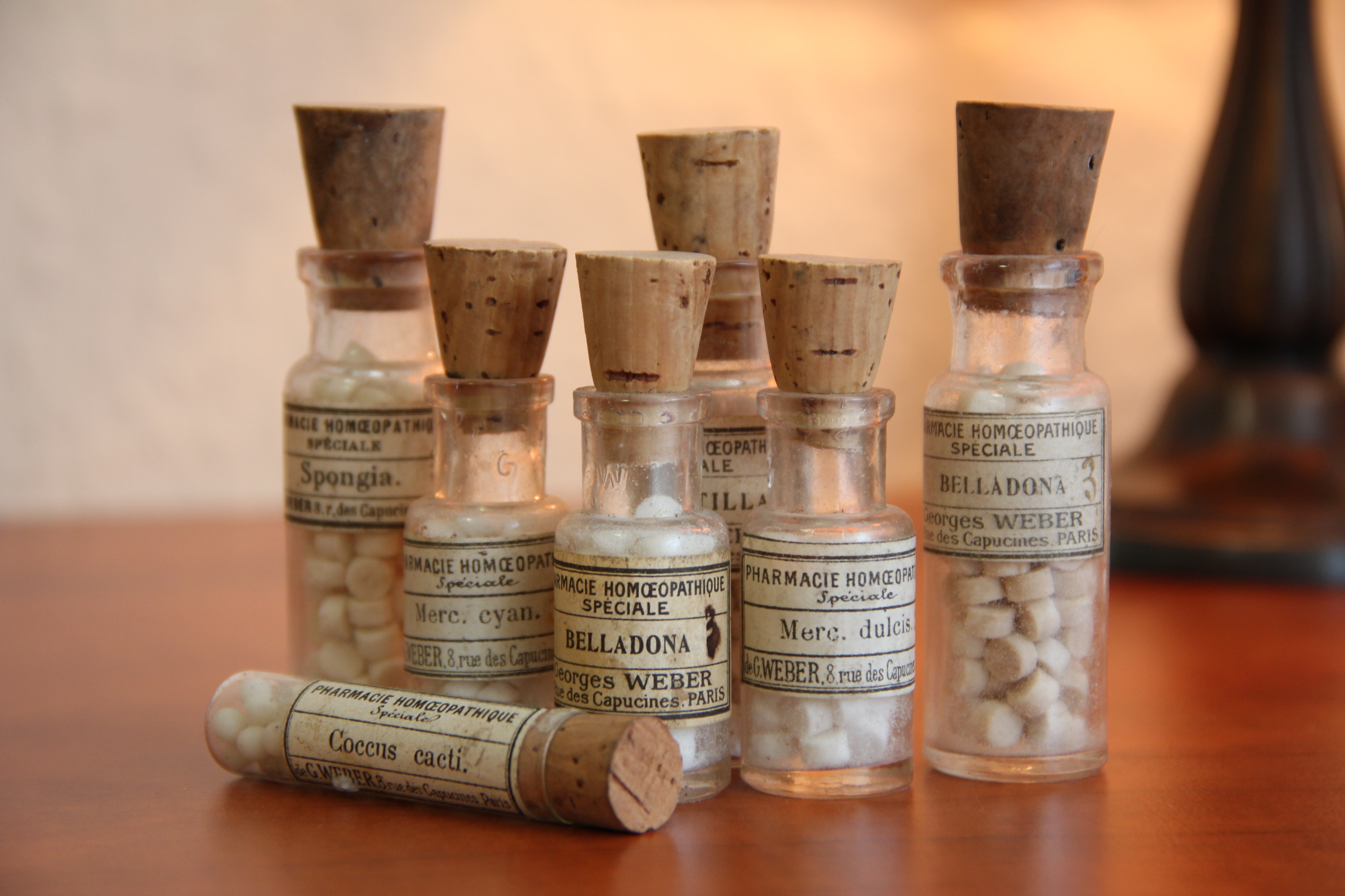 Homeopathy » Avicenna