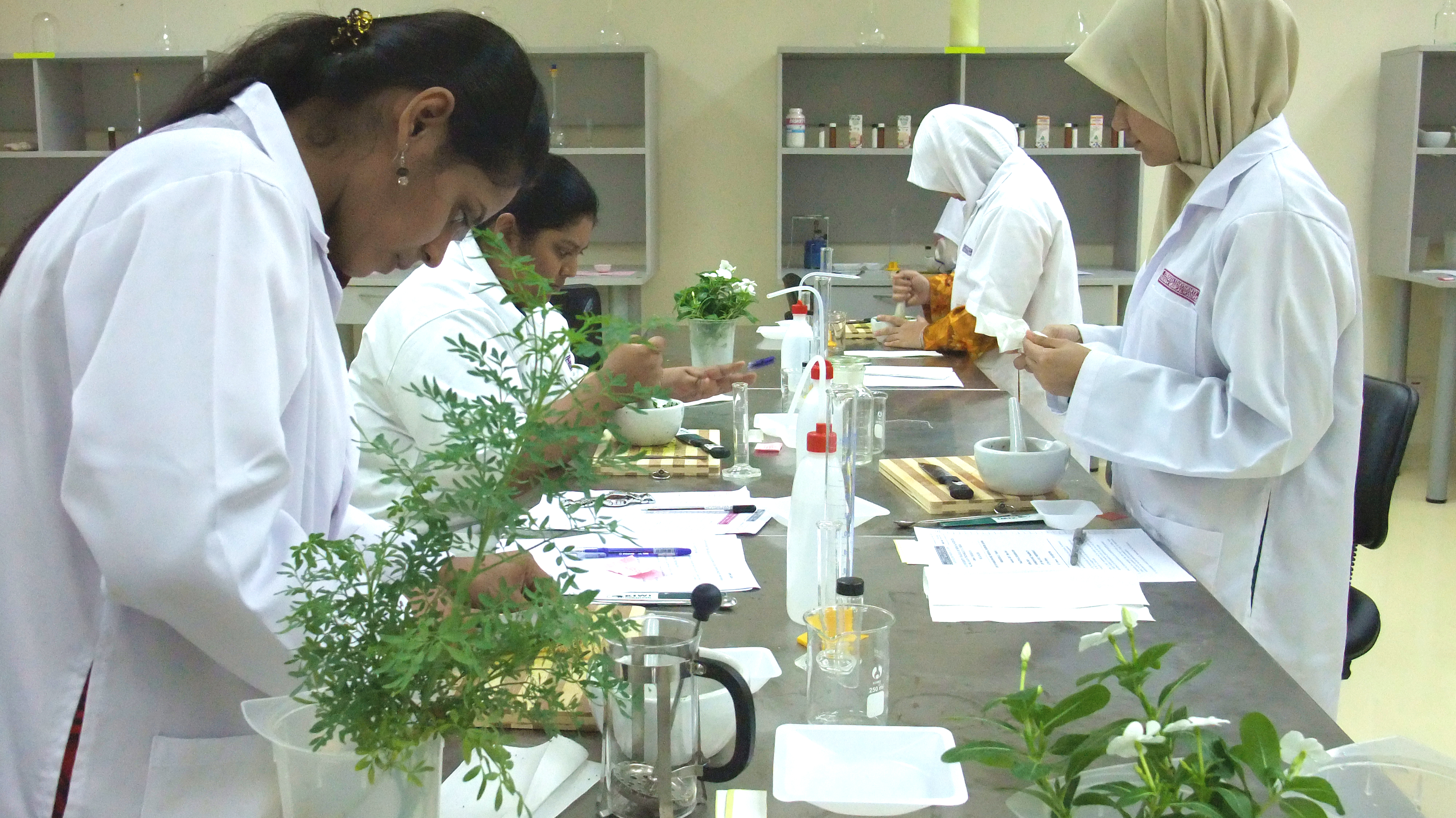 Bachelor of Homeopathic Medical Science (Hons) | Cyberjaya ...