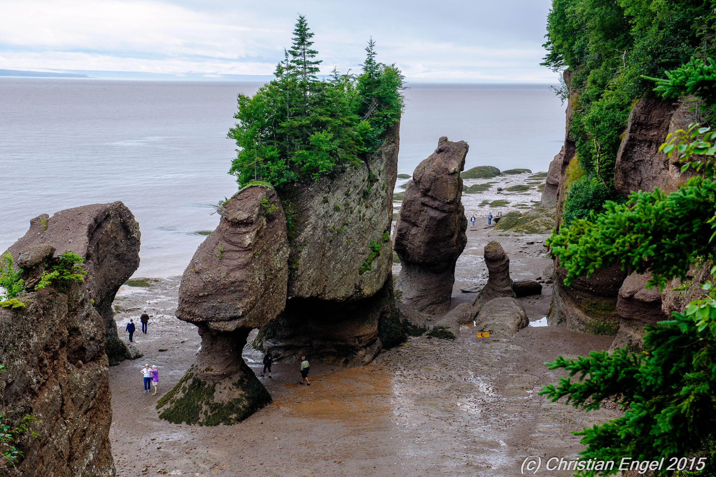 Hopewell Rocks | Best Time To Visit | Top Tips Before You Go - Guide ...