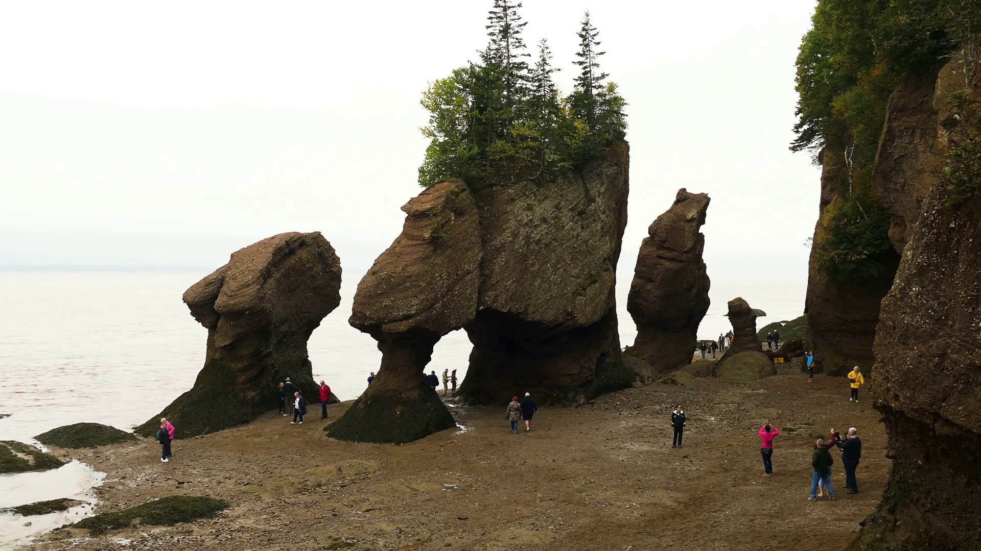 Hopewell Rocks, Hopewell Cape, New Brunswick, Canada Stock Video ...