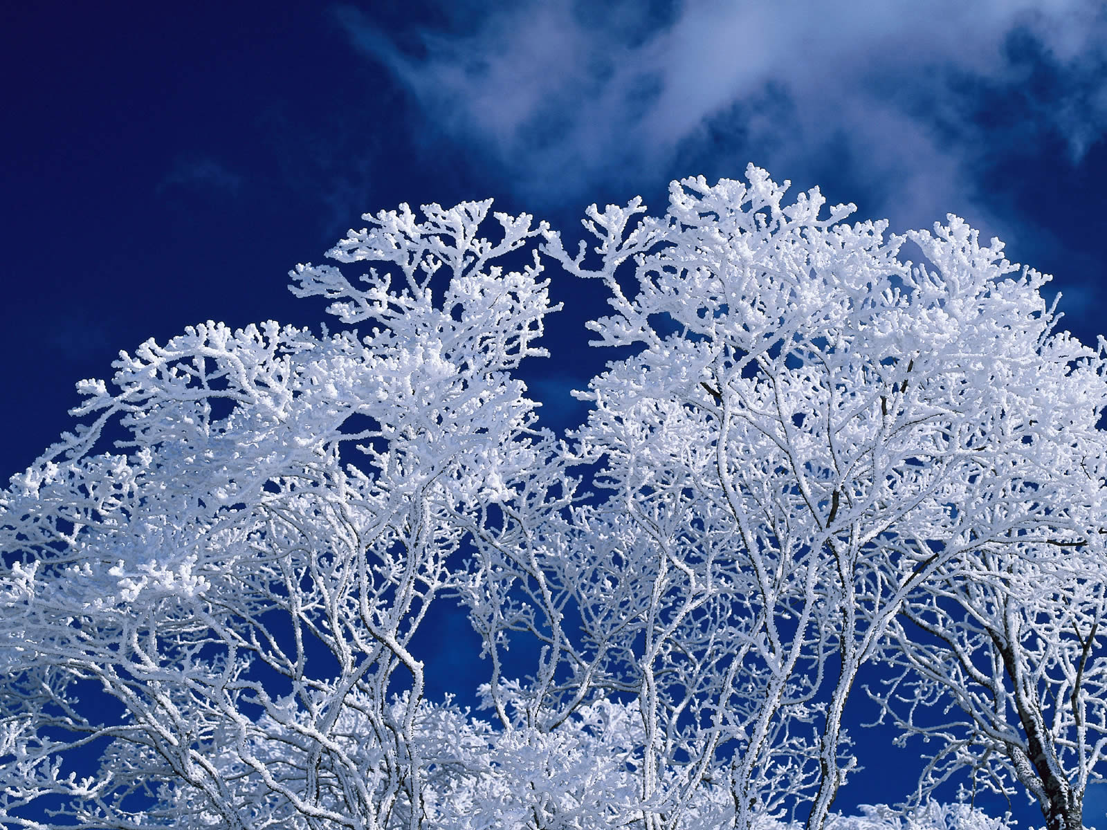 Indow Frost HD Wallpaper, Background Images