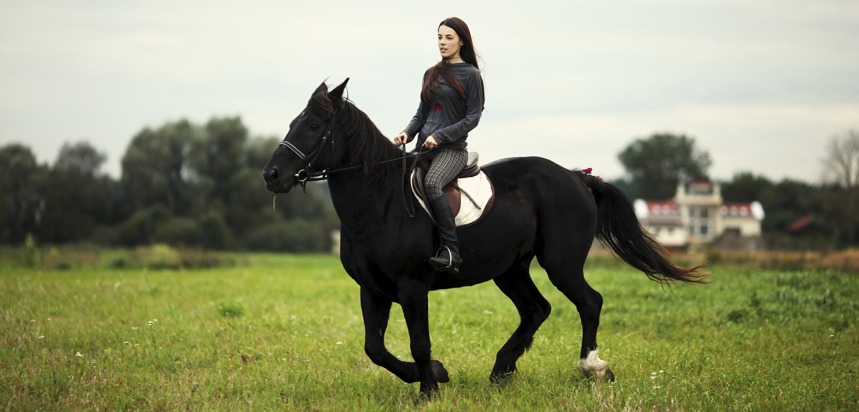 Horse and rider wallpapers and images - wallpapers, pictures, photos