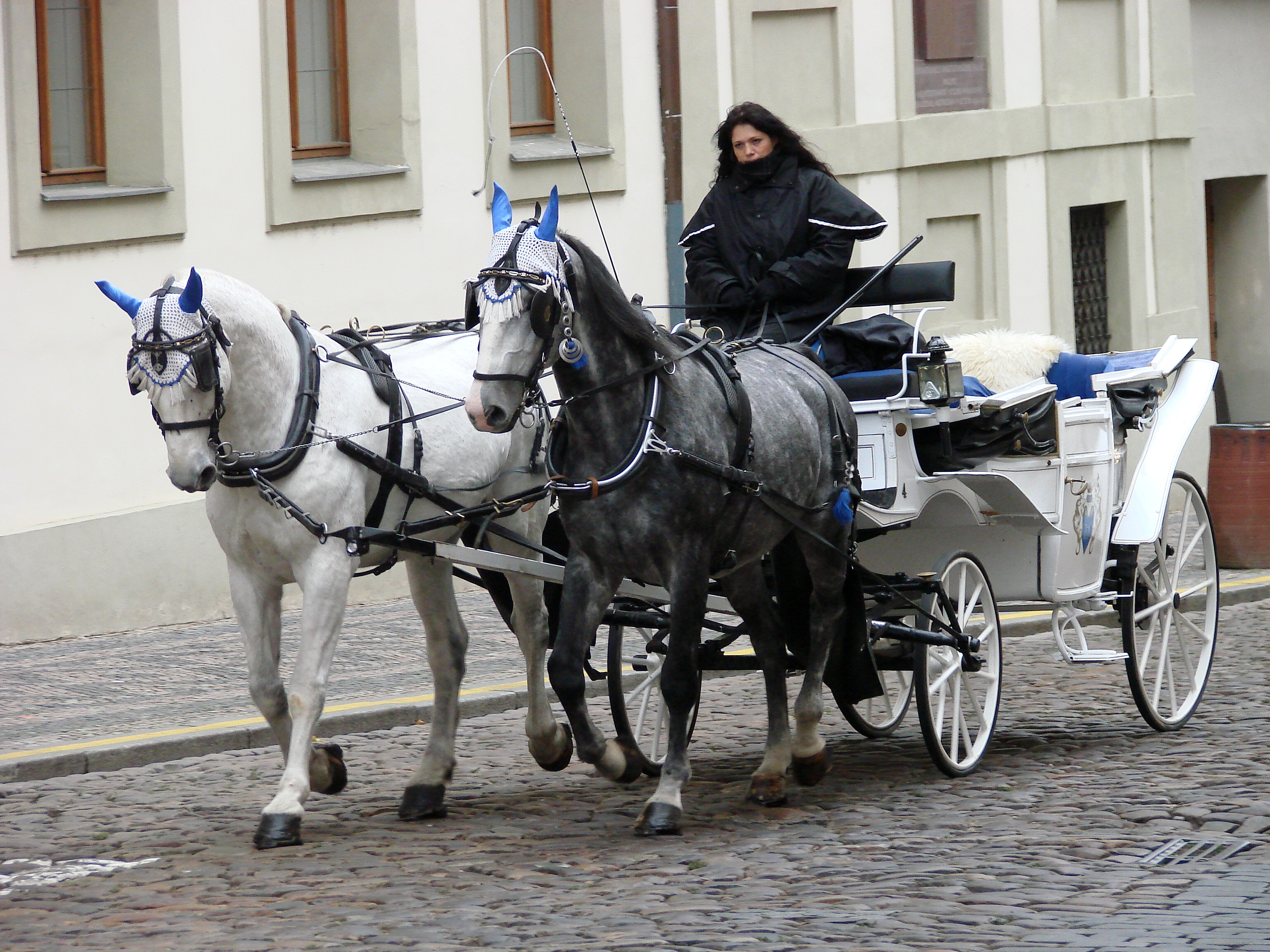 File:Horse-Drawn Carriage and Driver - Prague - Czech Republic.jpg ...