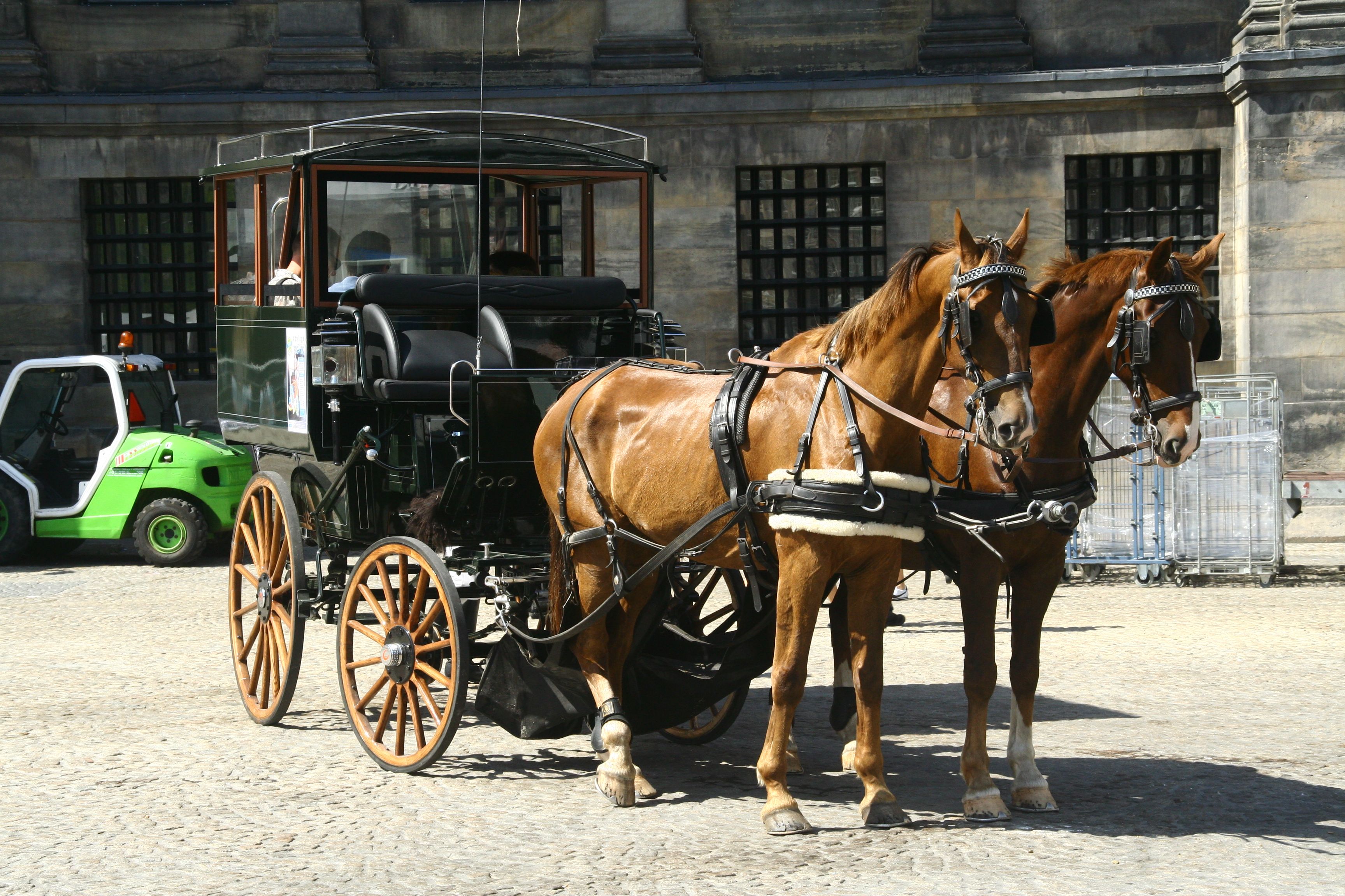 Carriages - Google Search | Carriages | Pinterest