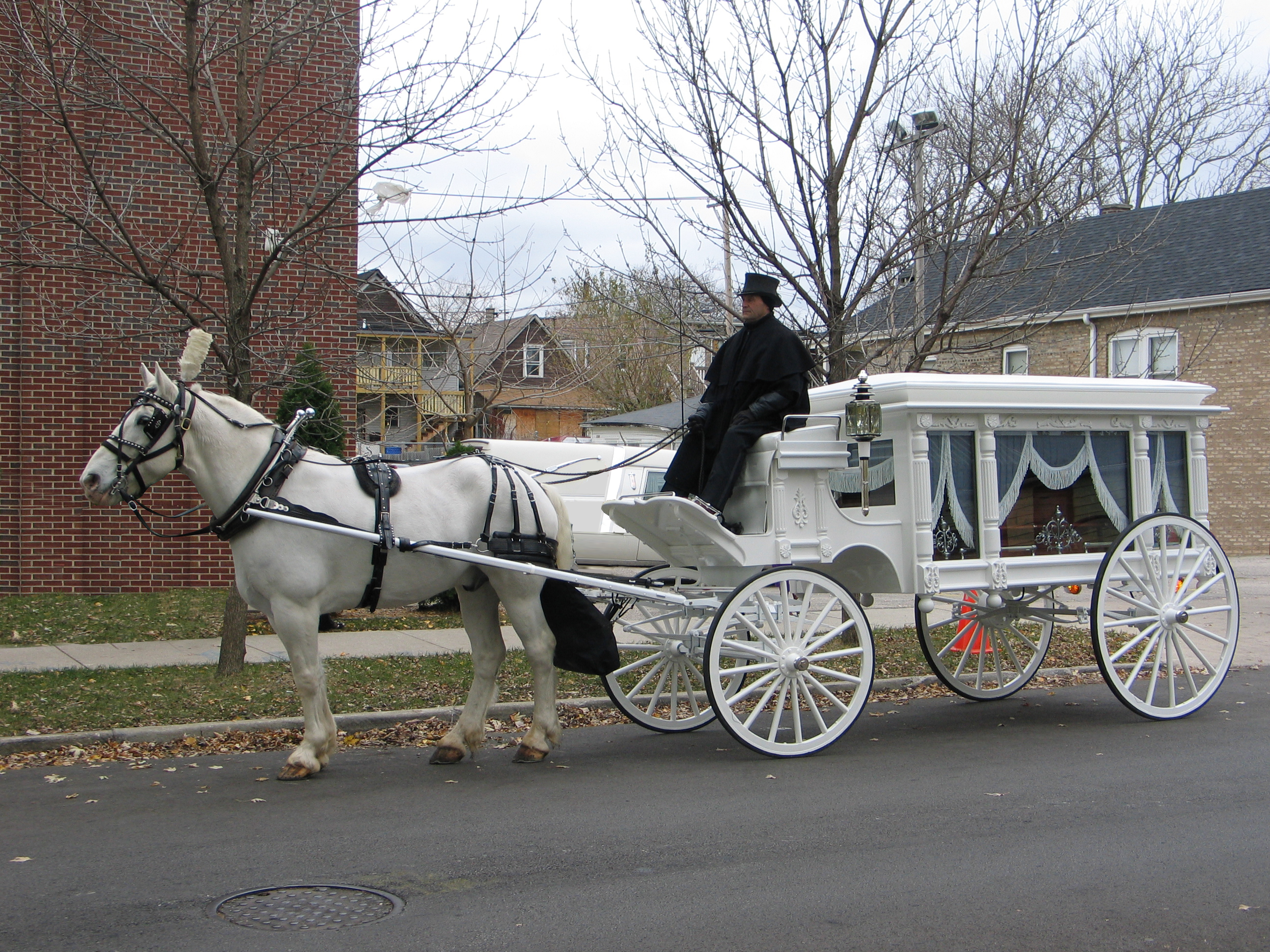 Horse and Carriage, Hearse, Funeral Horse Carriage I Chicago, IL
