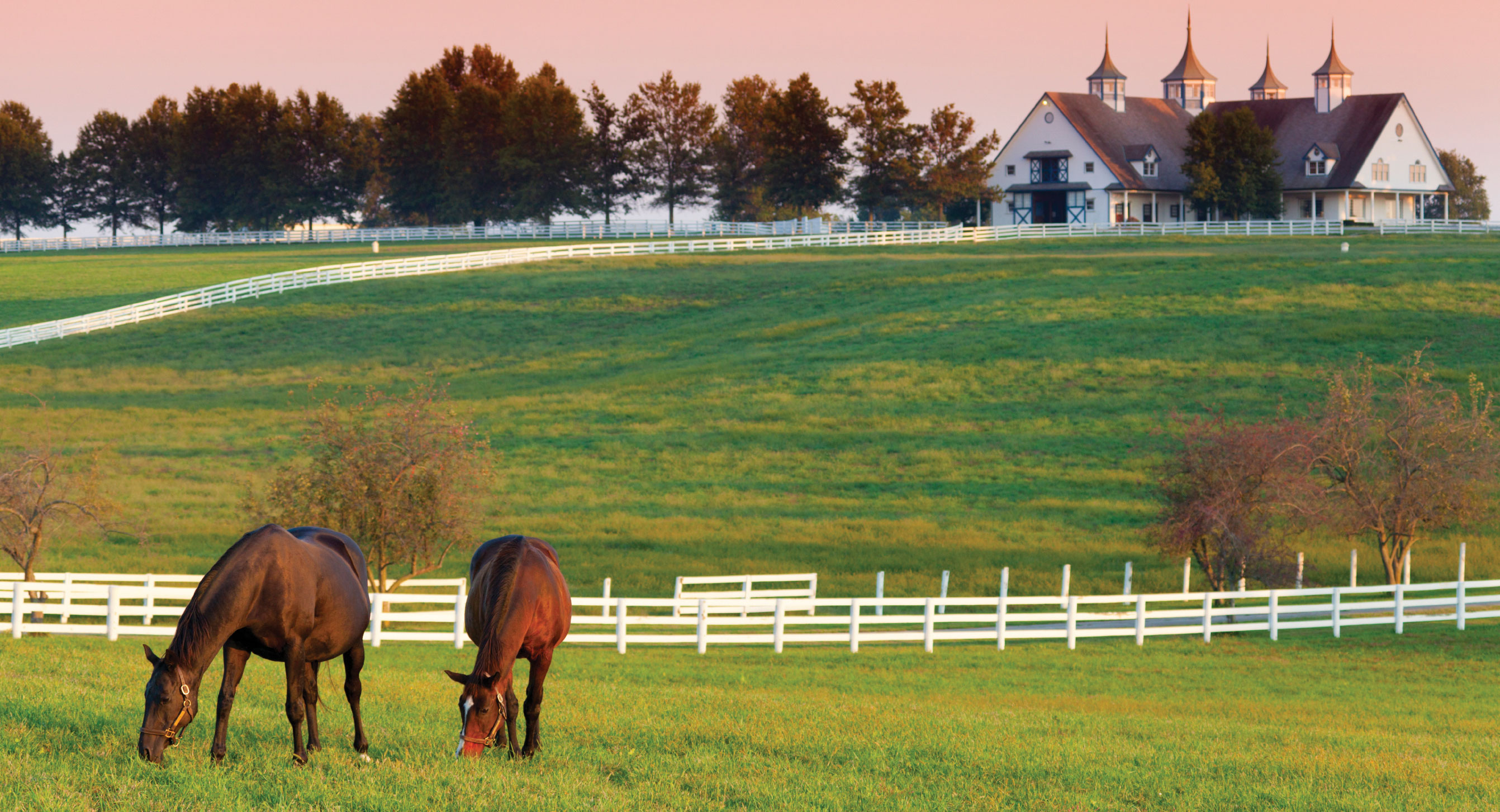 Kentucky horse farm photo