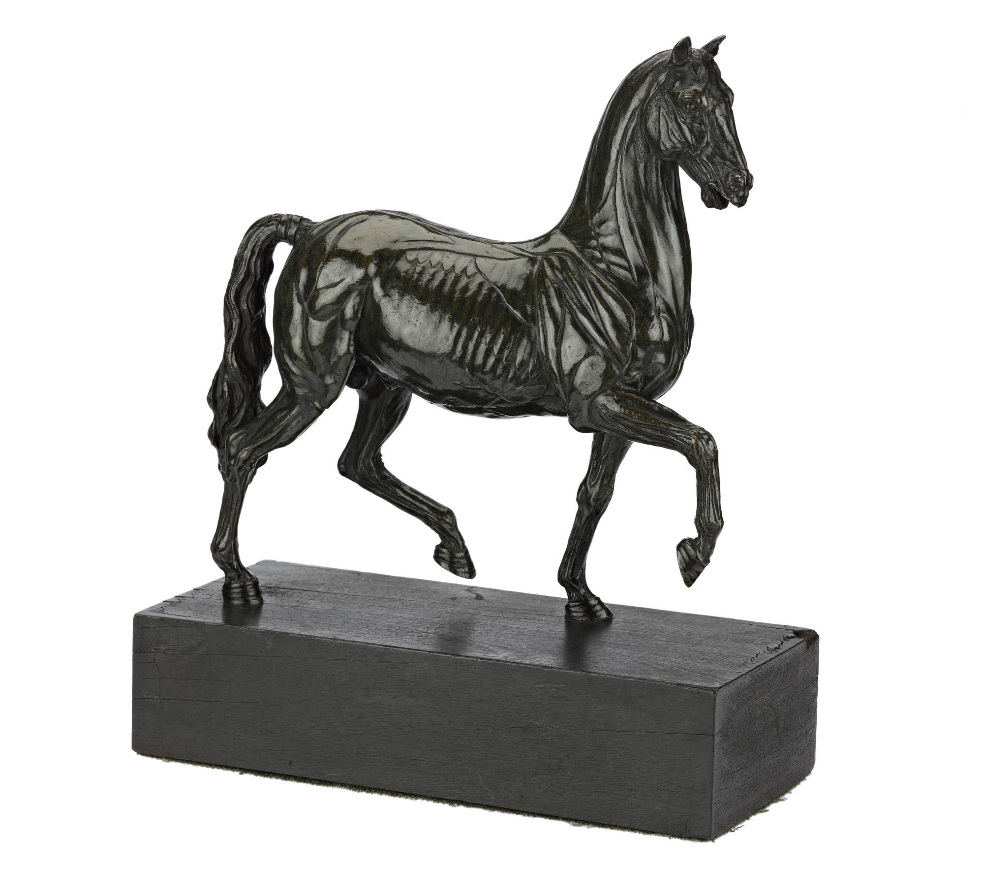 Bronze anatomical figure of a horse on a wooden plinth: Italian ...