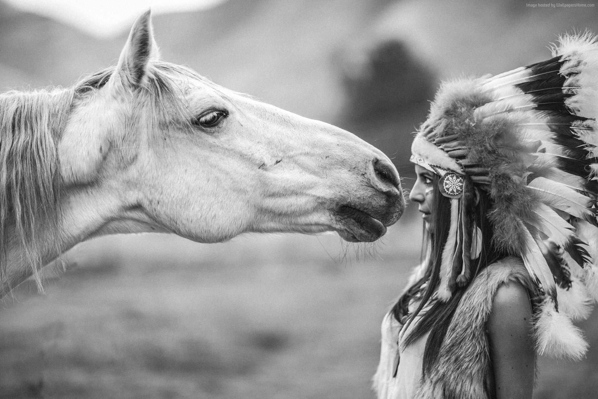 Grayscale photo of female Native American facing horse HD wallpaper ...