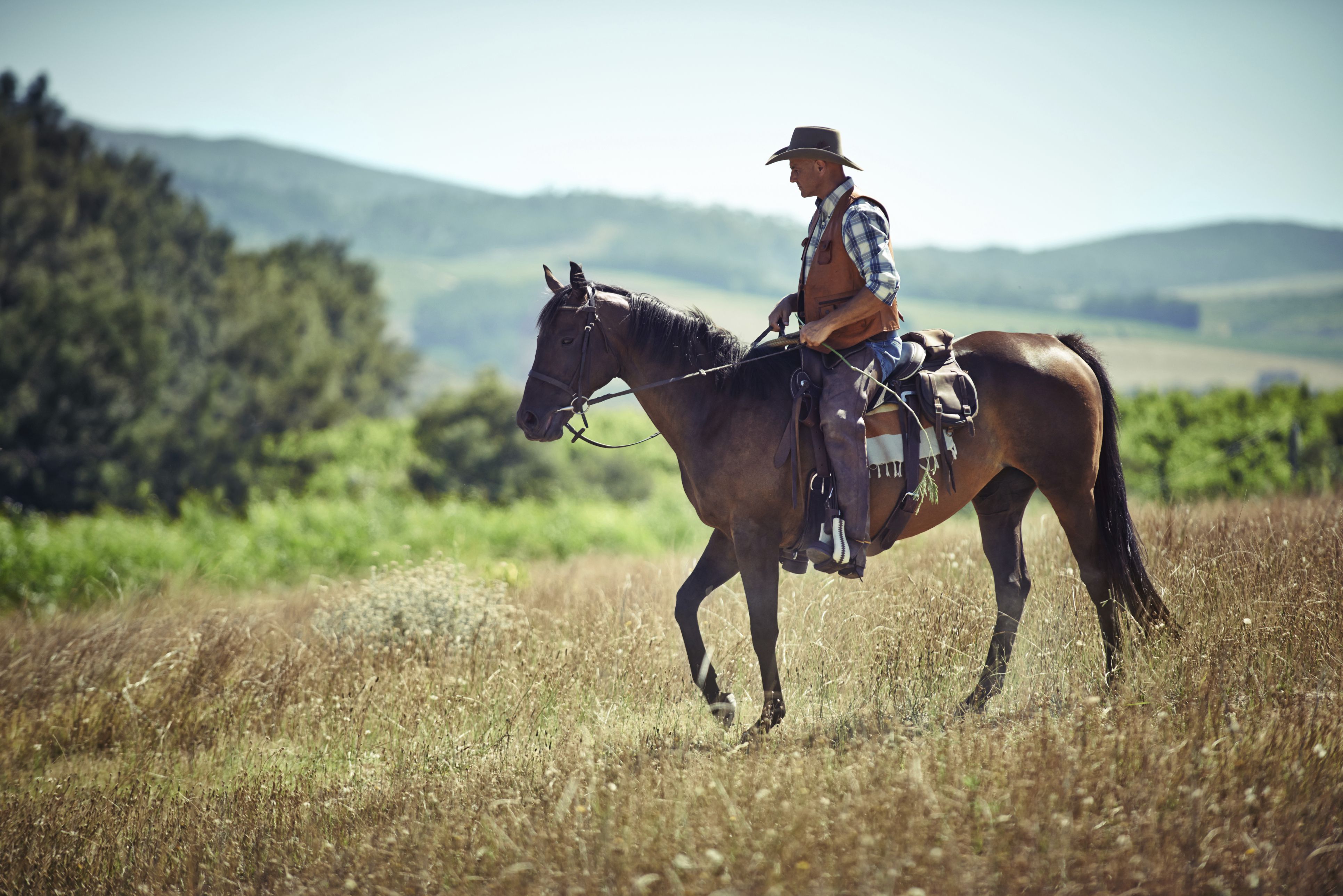 9 Best Health Benefits of Riding A Horse - Dr Heben