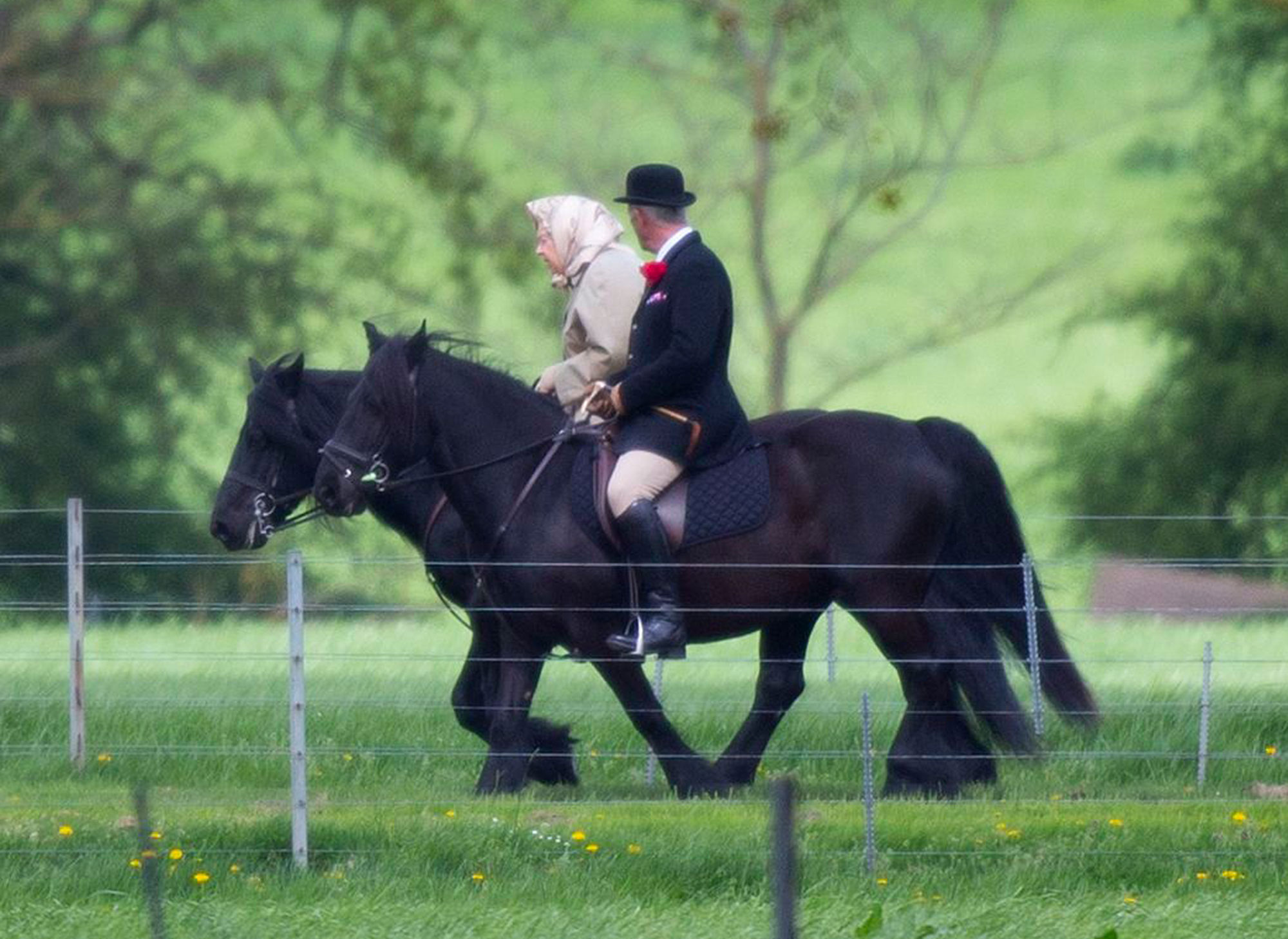Queen Elizabeth, 92, Goes Horse Riding After Great-Grandson's Bith ...