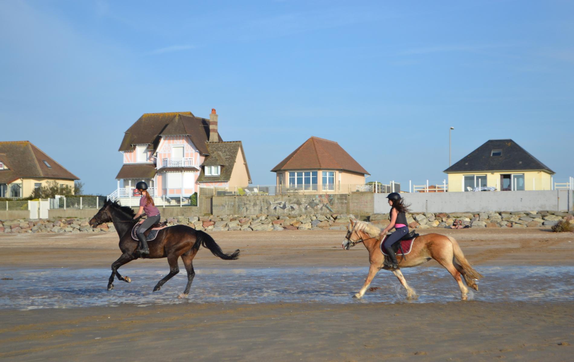 Horse-riding lessons, horse ride on the beach - Les Chambres d'Annie
