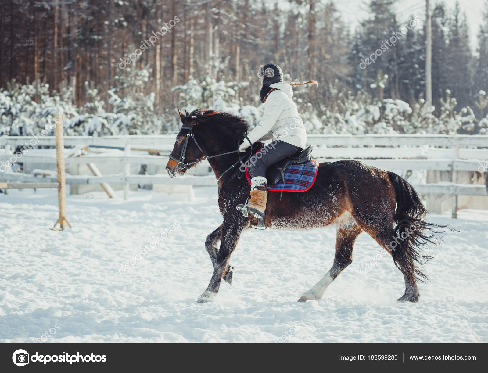 Winter jump horse ride jumping — Stock Photo © JuliaSha #188599280