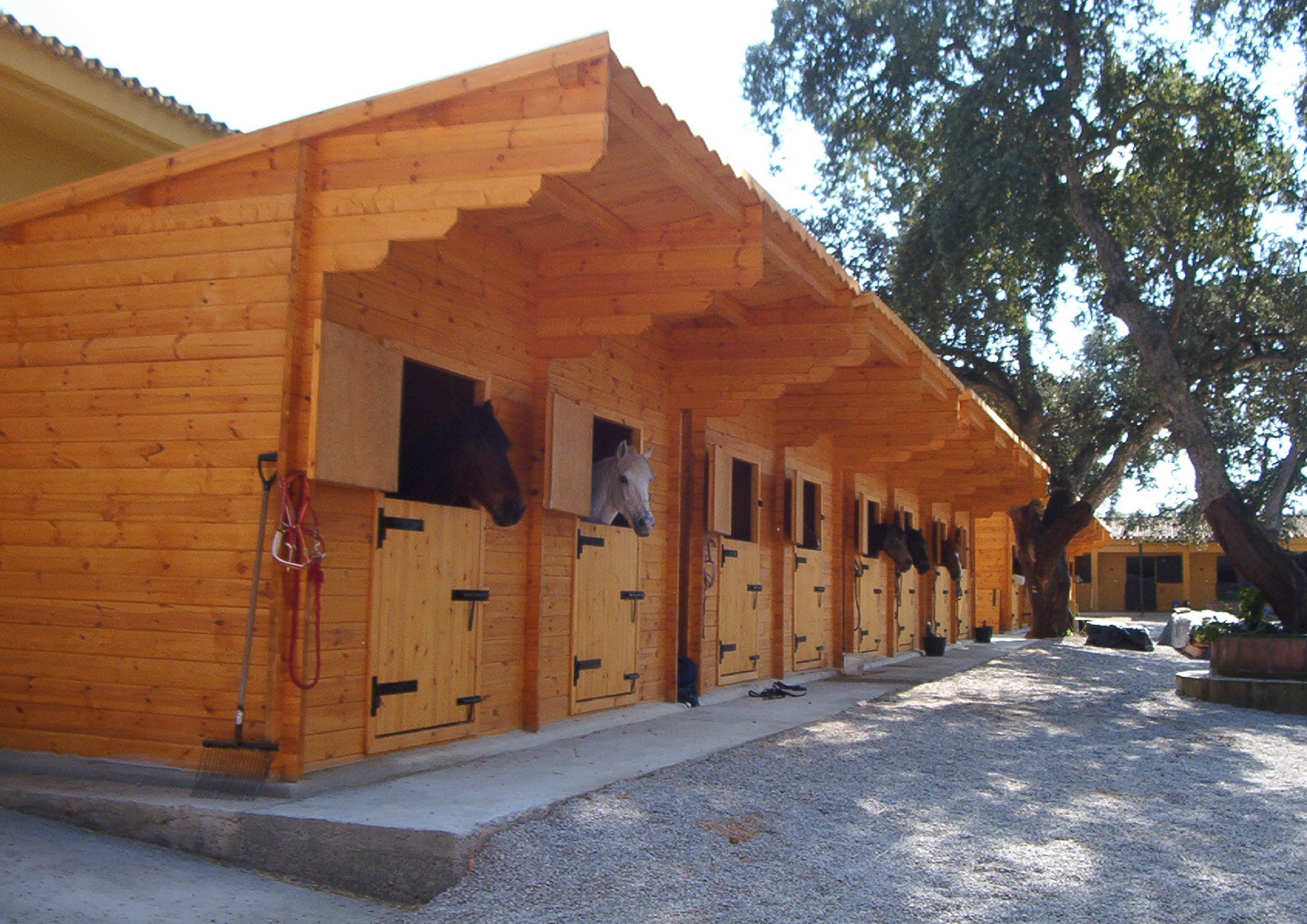 7 things to know about horse stables | Blog | Palmatin Wooden Houses