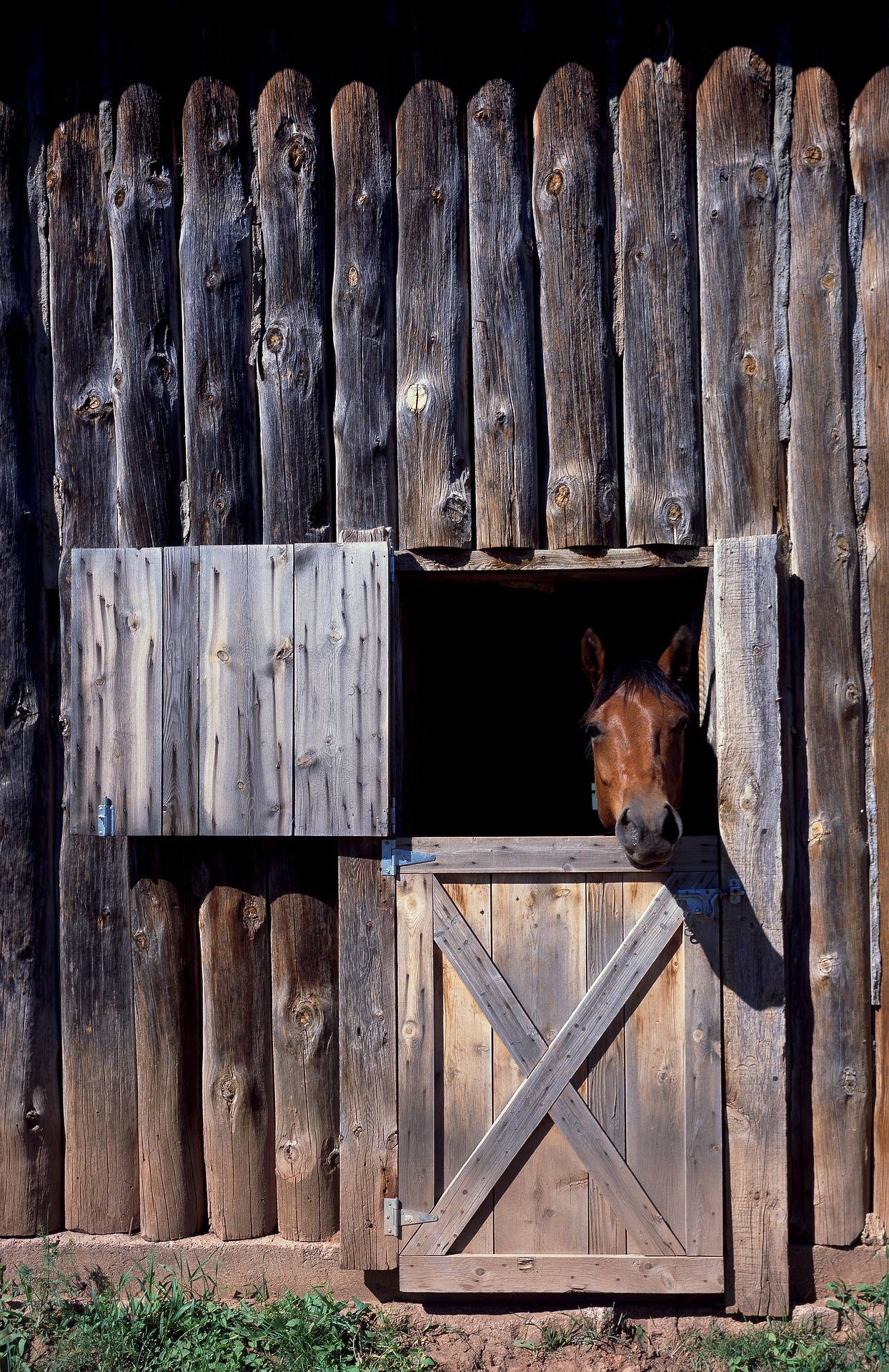 Horse stable photo
