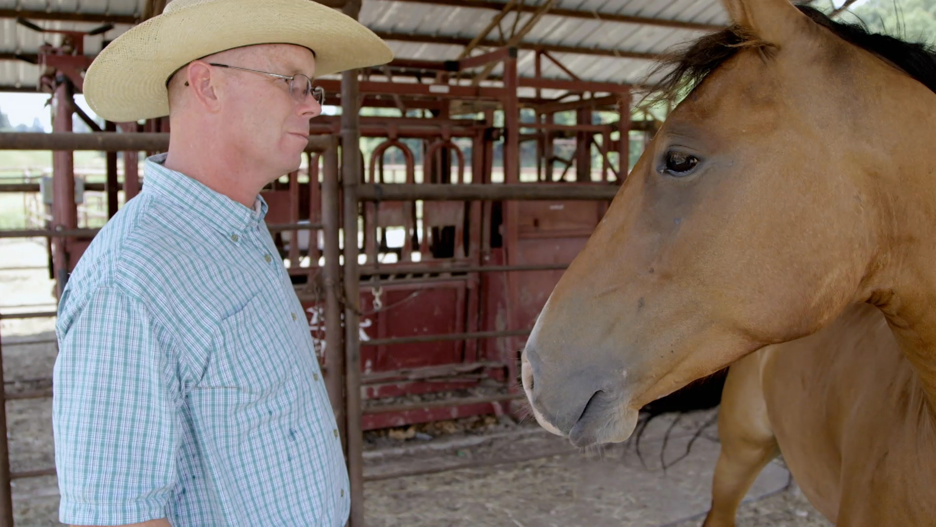 The Horse Whisperer - Mustang Millionaire Video - National ...