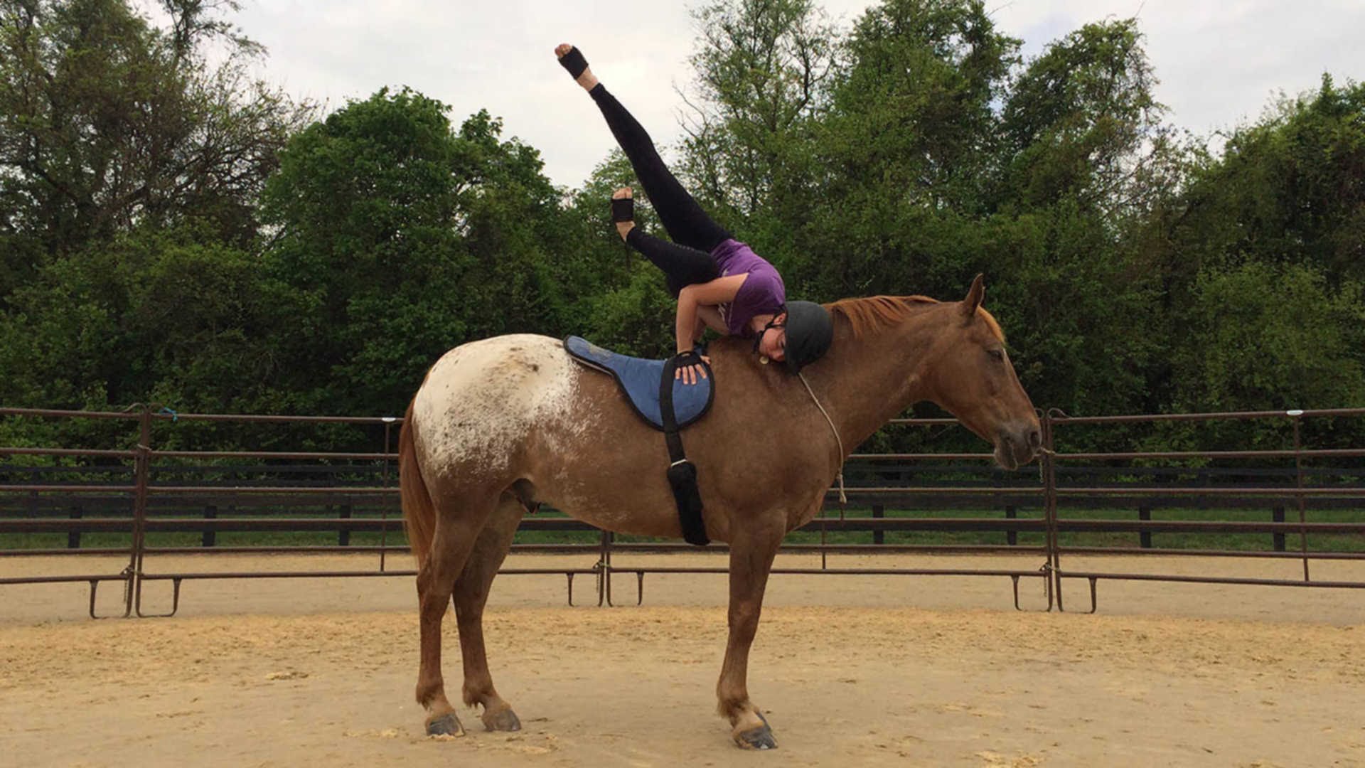 Woman Does Yoga On Horses' Back - YouTube