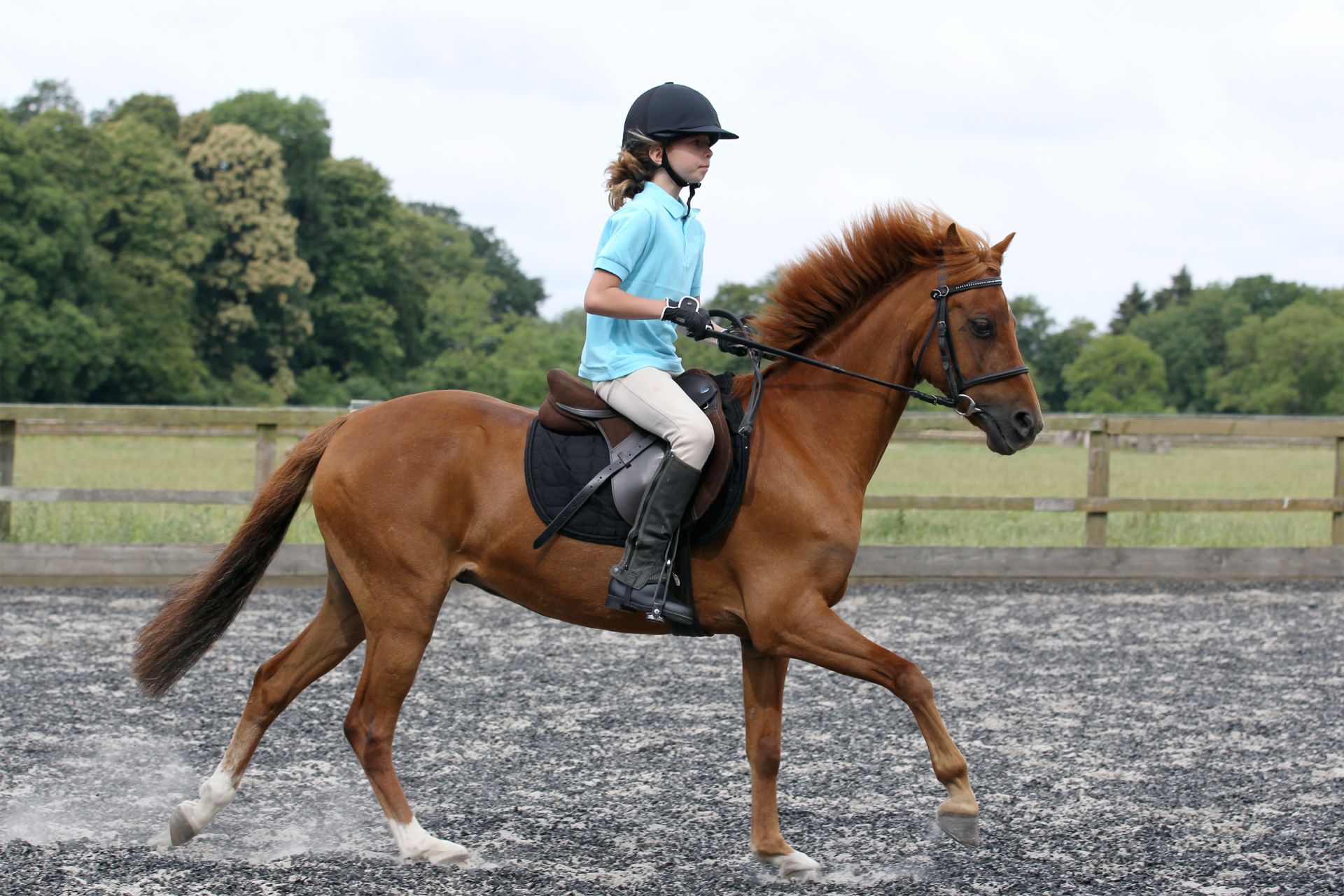 Kid riding horse photo