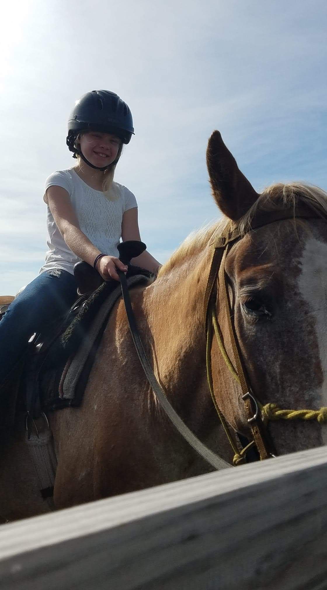 Horseback riding photo