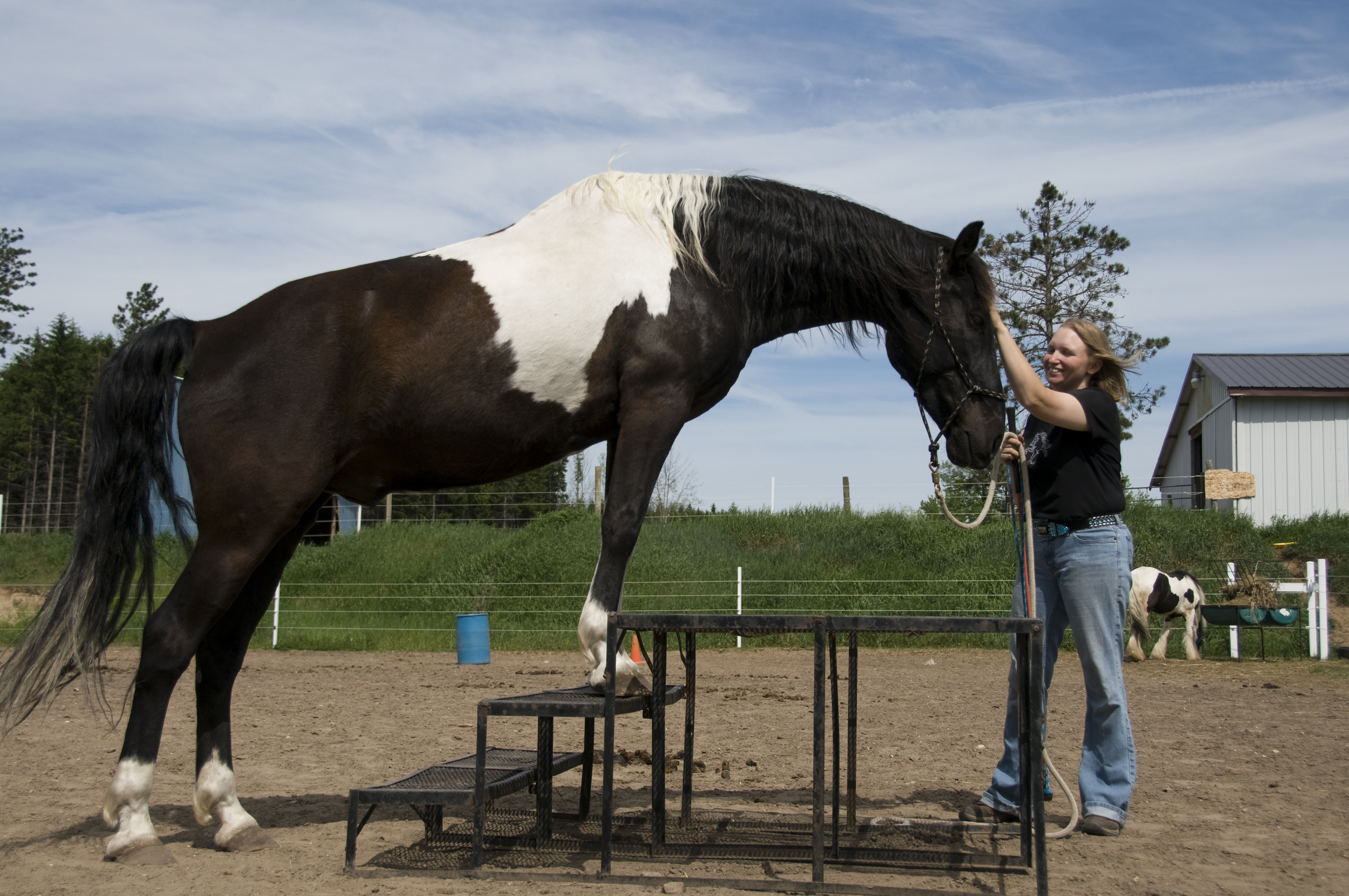 Horsemanship photo