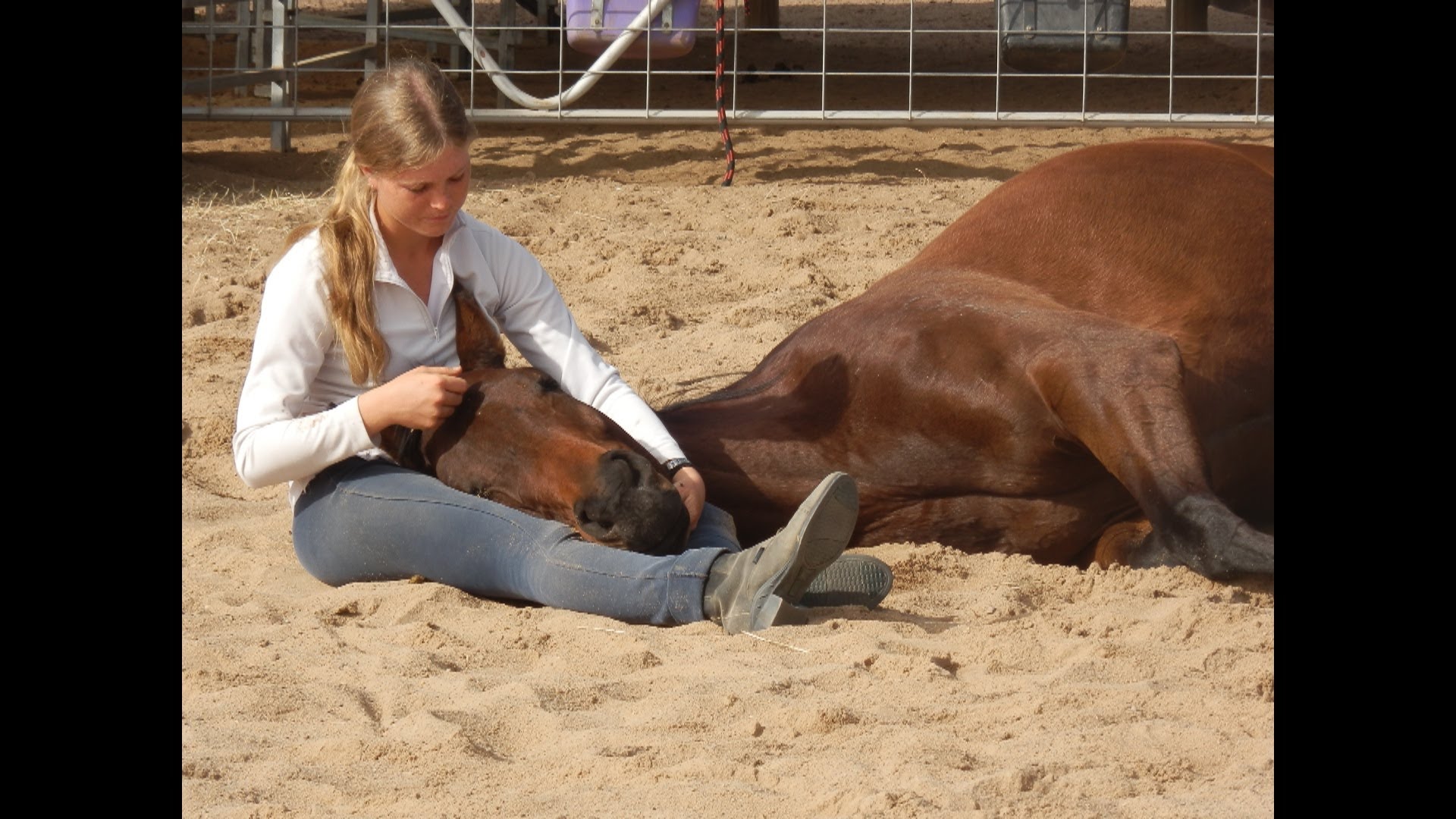 You are my one and only- Natural Horsemanship and Trick training ...