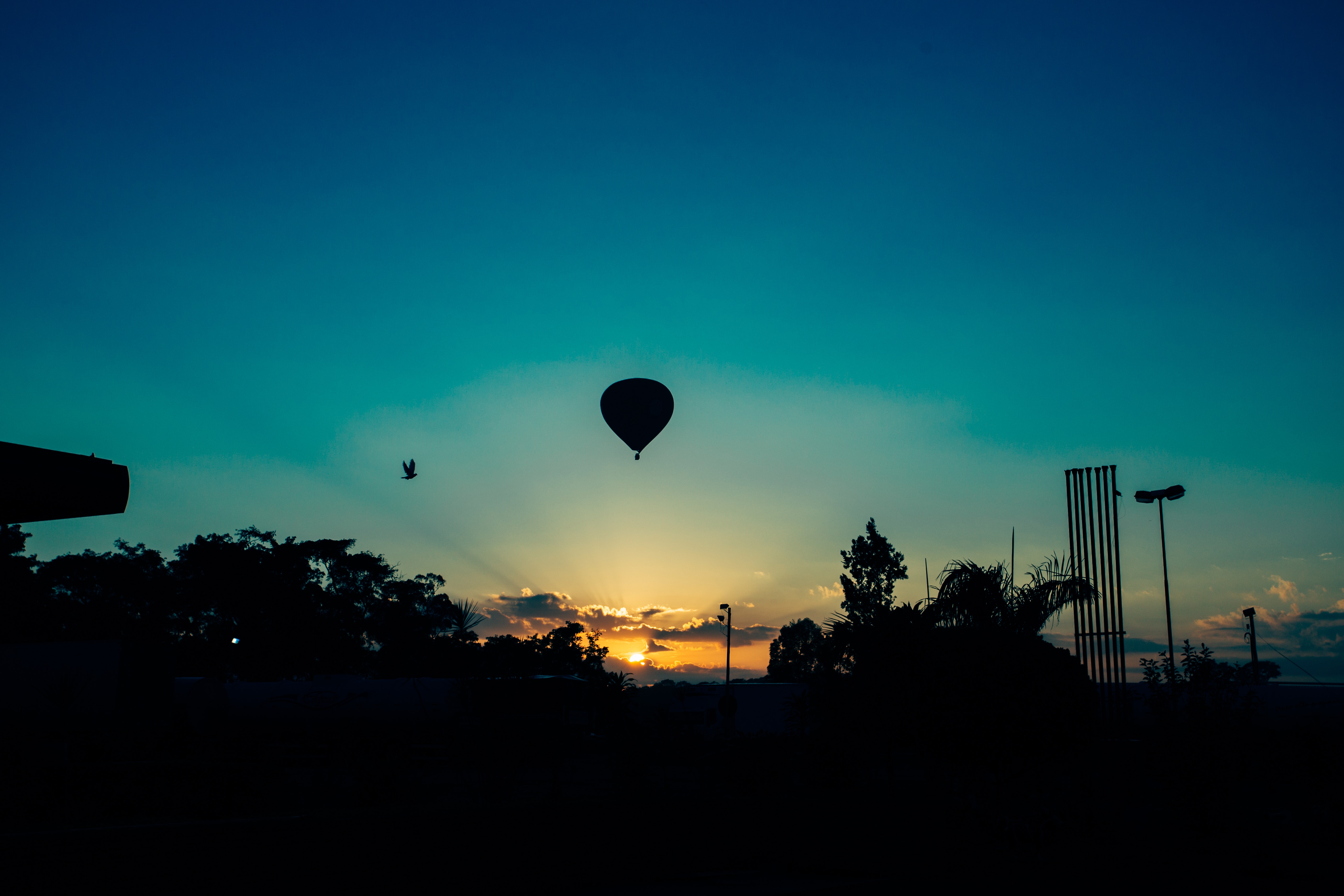 Hot air balloon during sunset photo