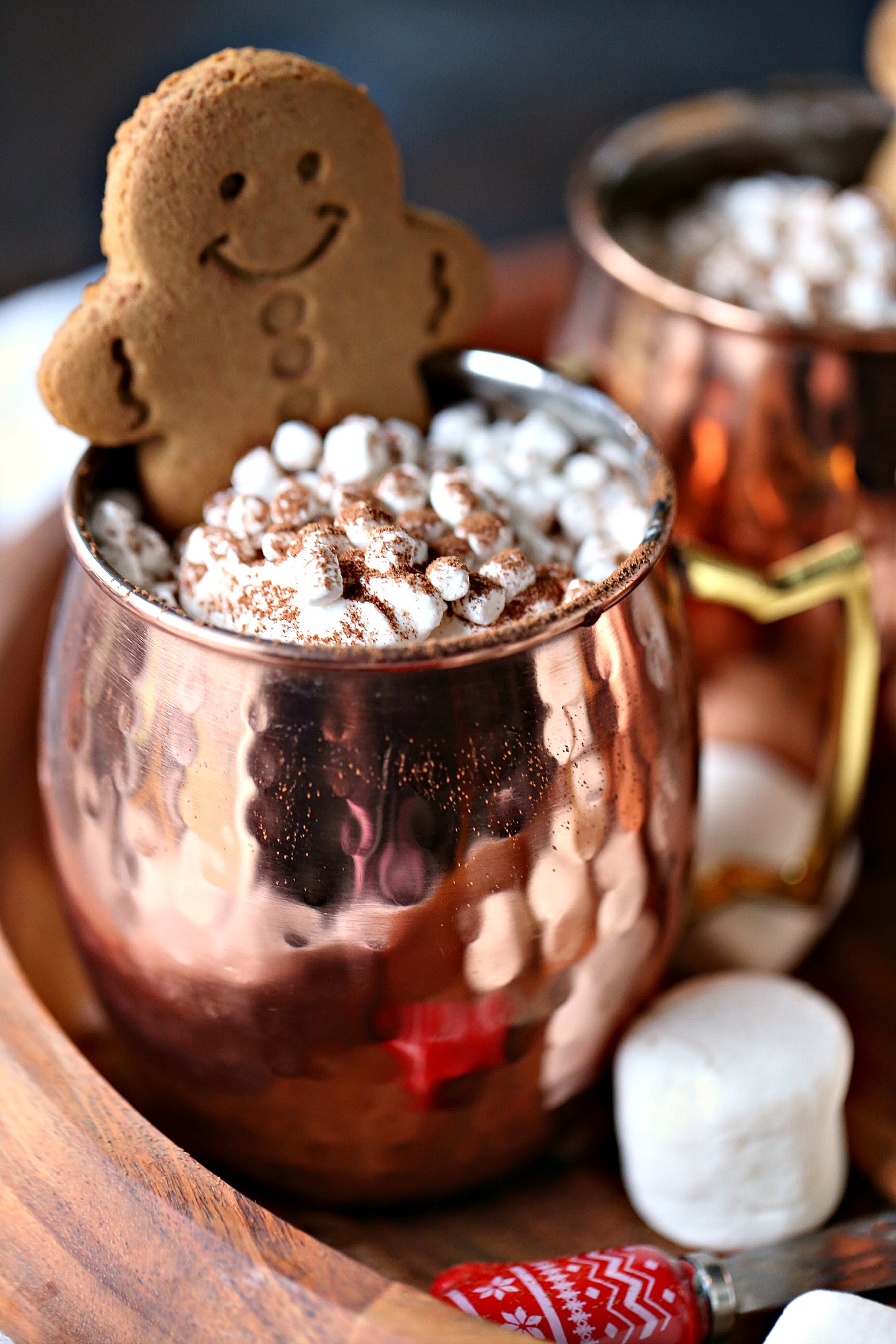 Gingerbread Hot Chocolate Recipe