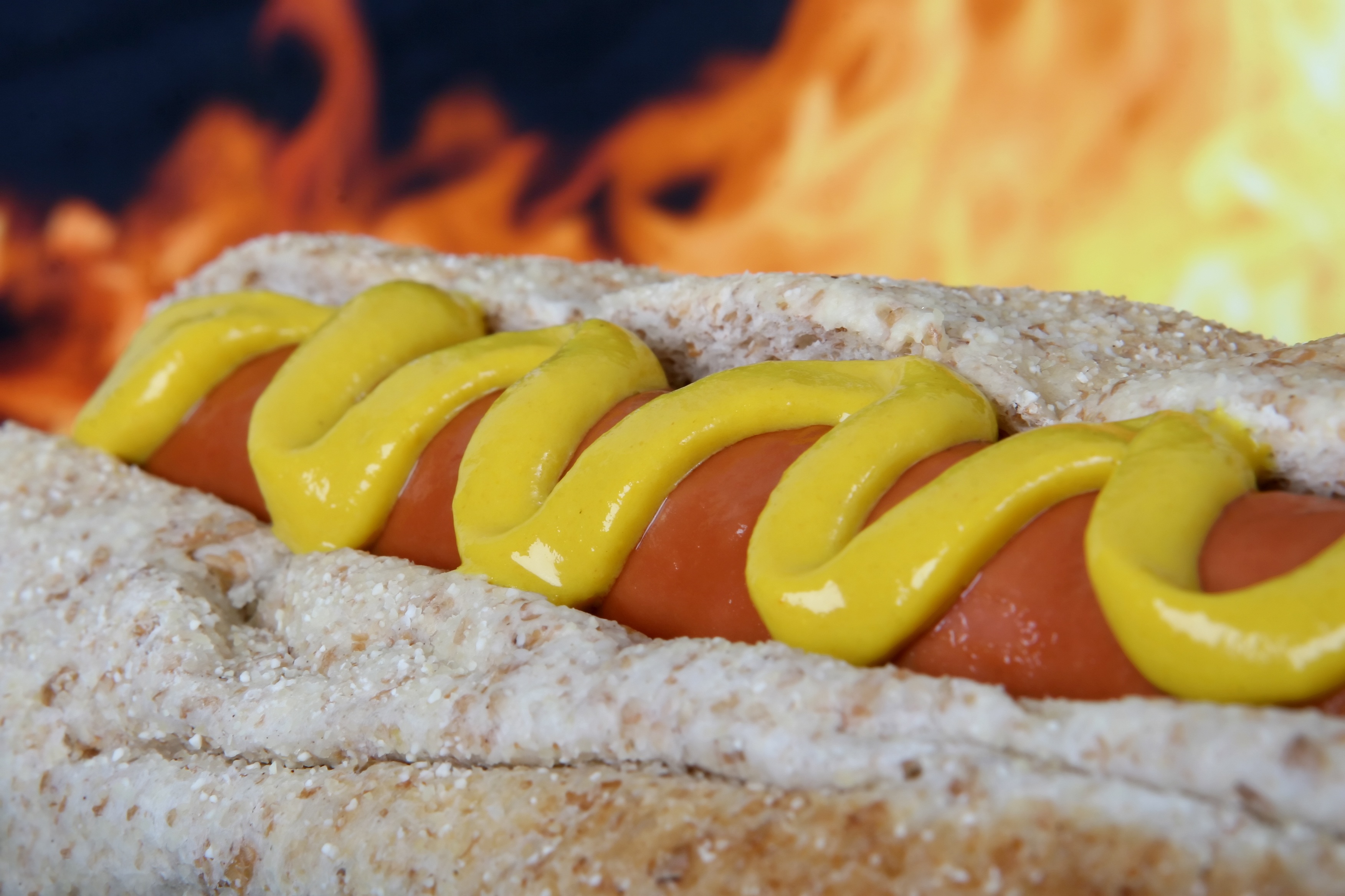Hot dog photo
