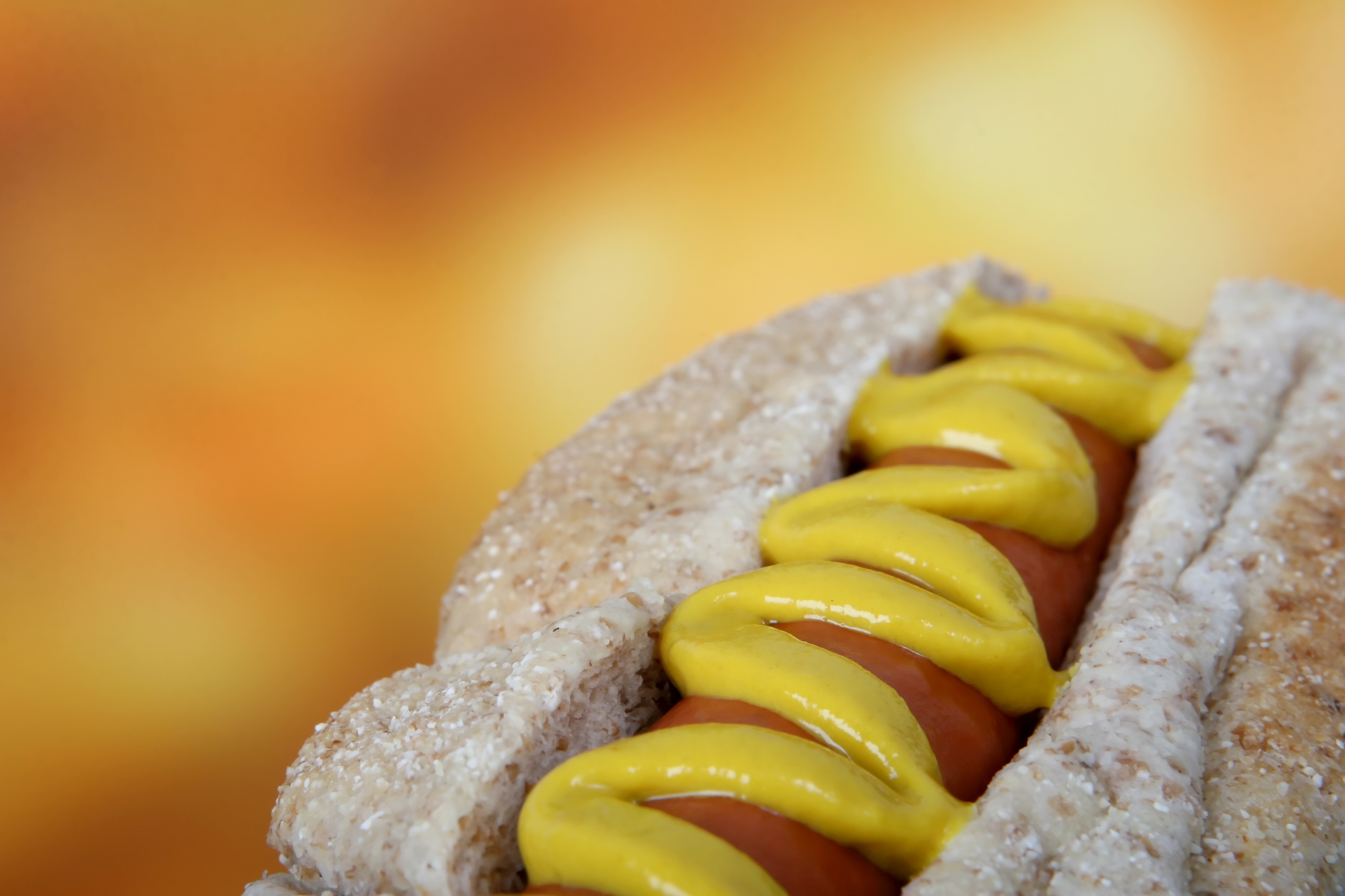 Hot dog photo