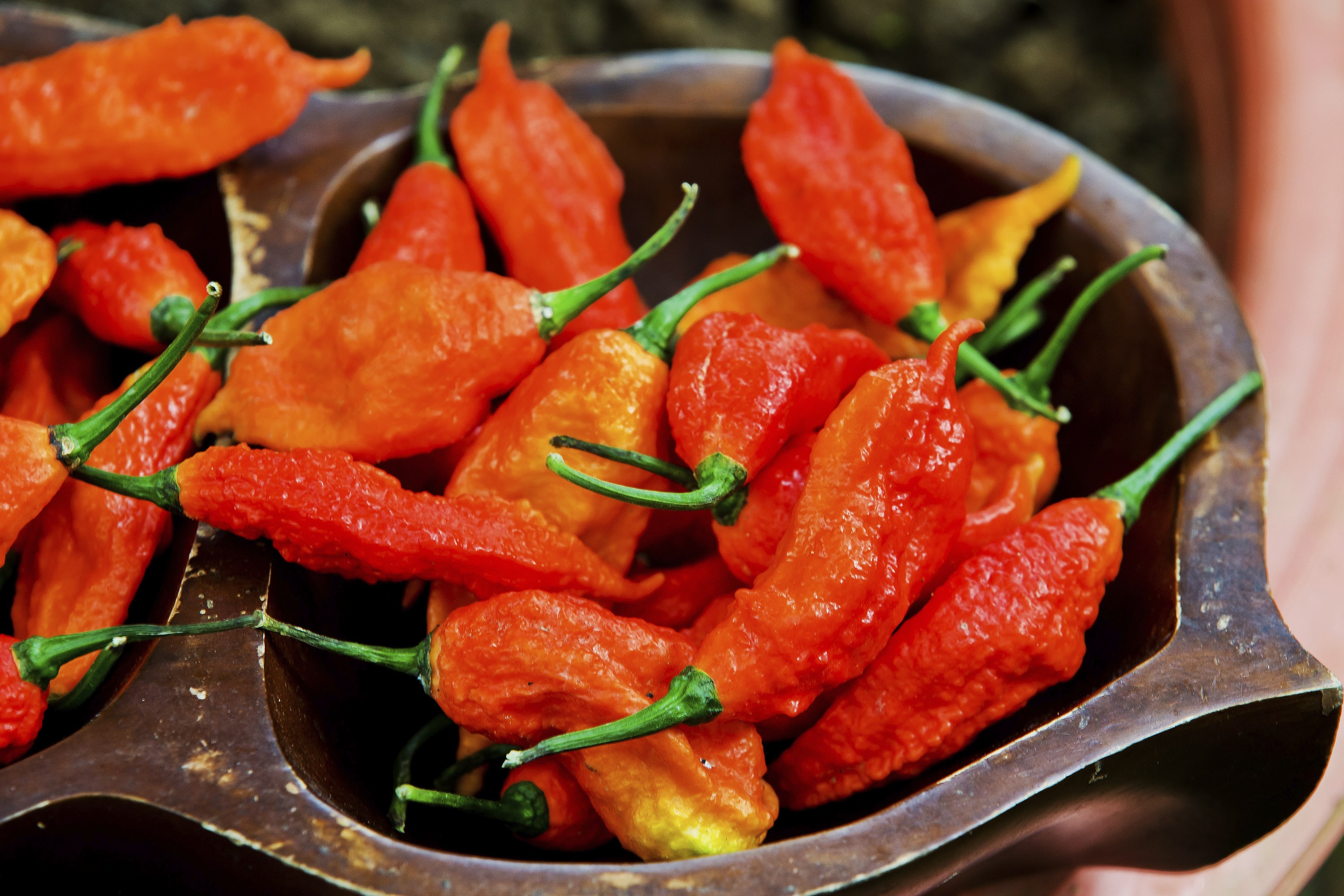 Hot Peppers Moderate Breast Cancer - Ashley Food Company - Mad Dog ...