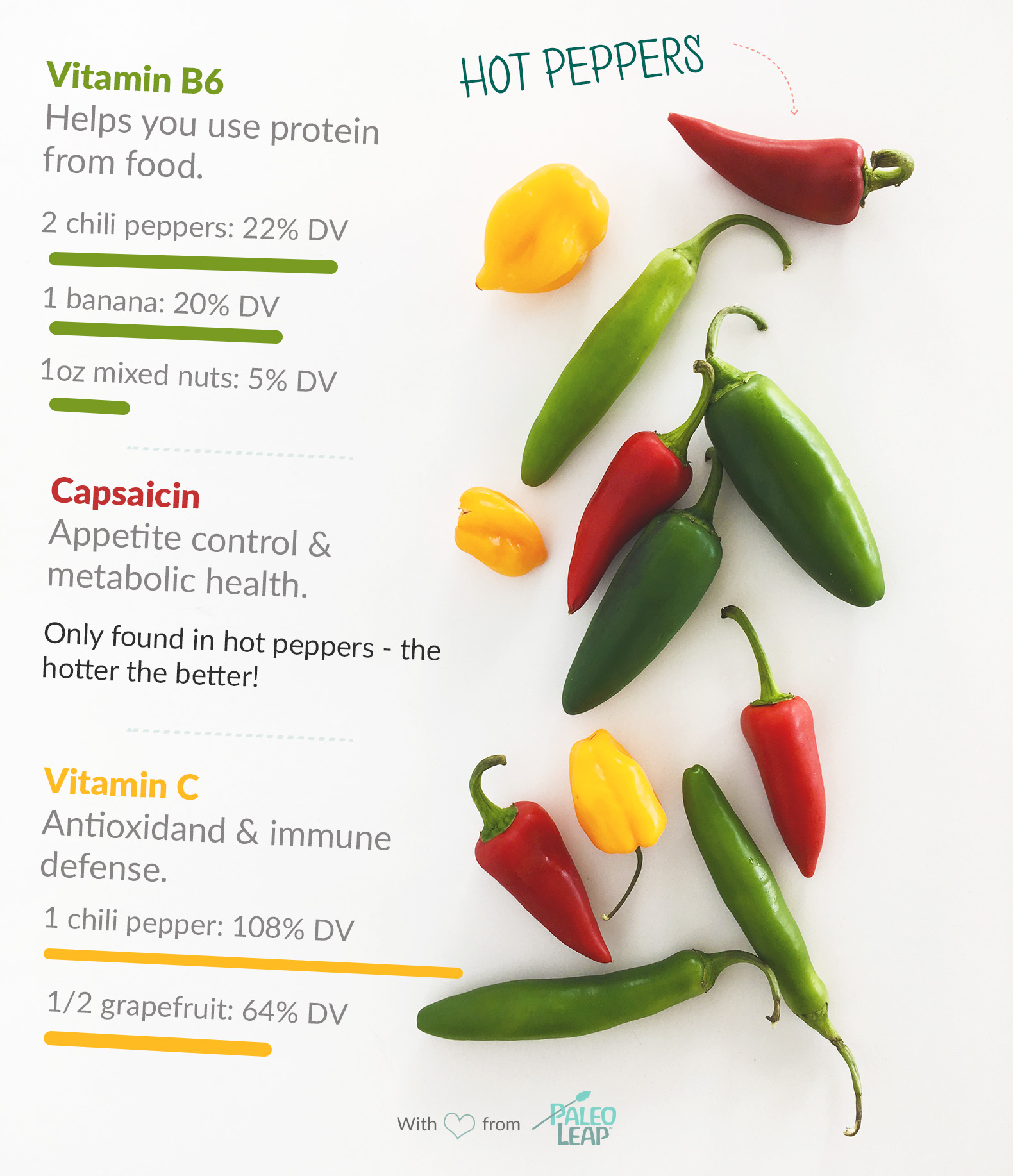 Paleo Foods: Chili Peppers | Paleo Leap