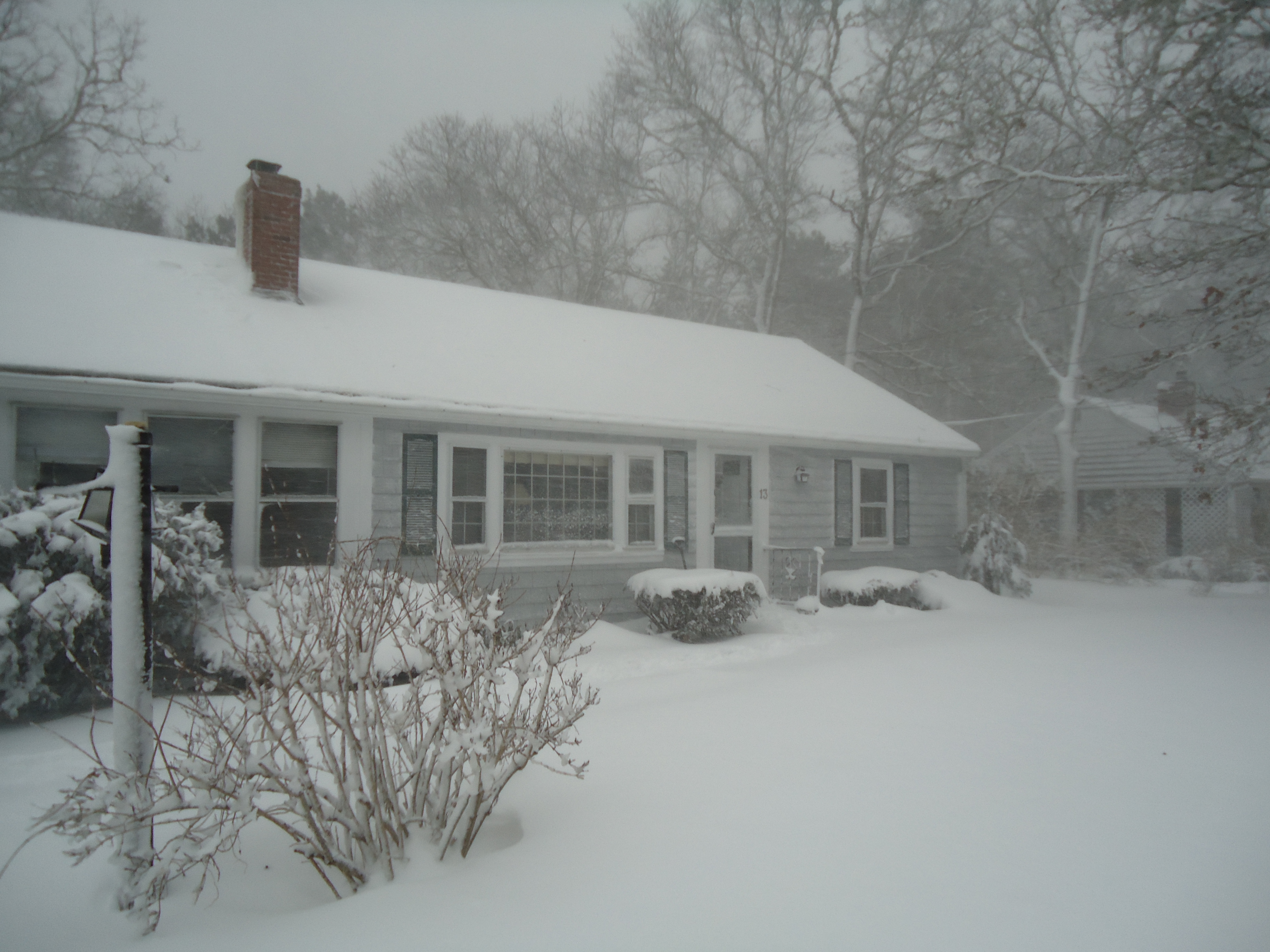 House in the snow photo