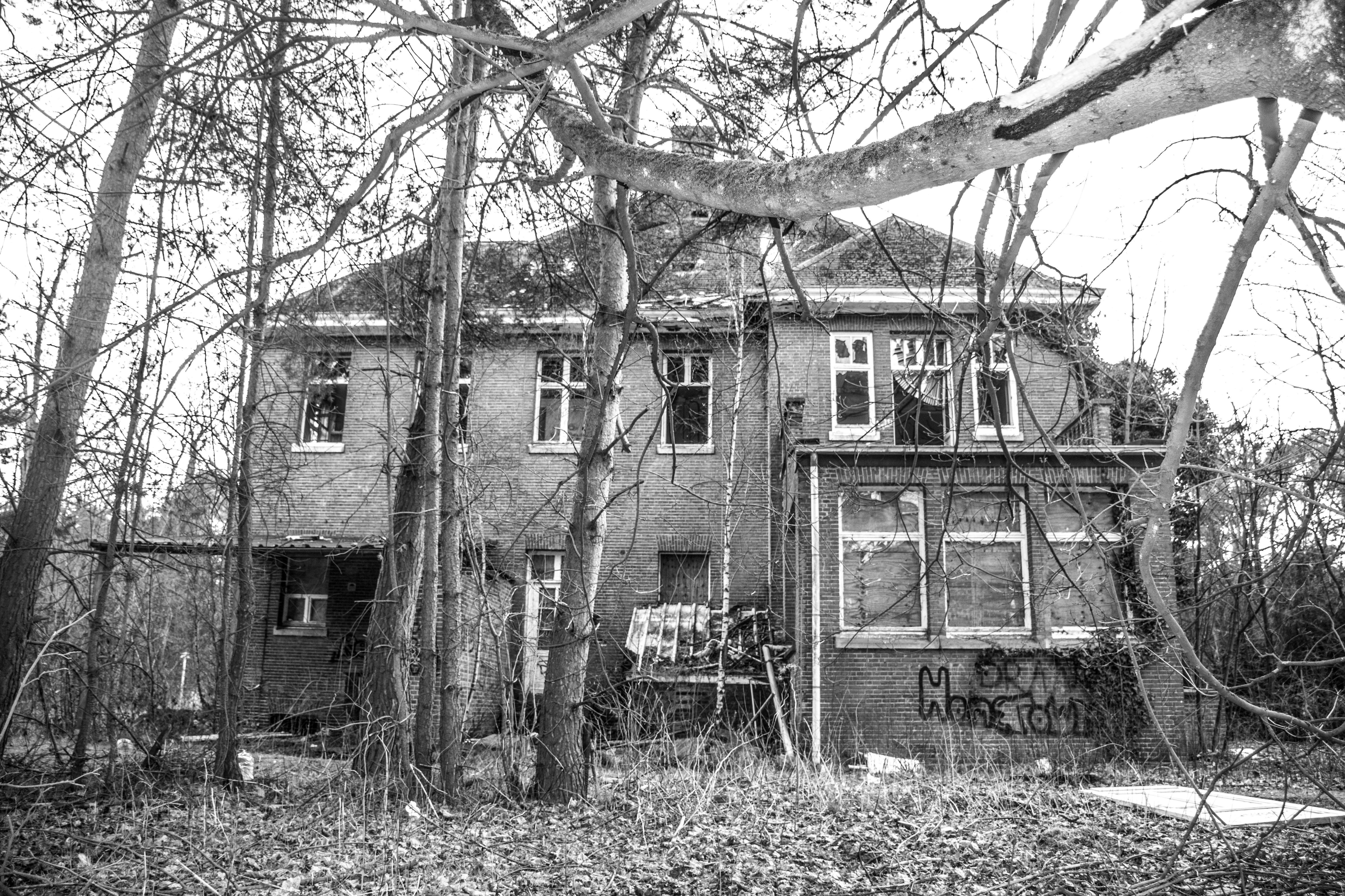 House Surrounded With Trees on Grayscale Photography, Abandoned, Graffiti, Wooden, Wood, HQ Photo