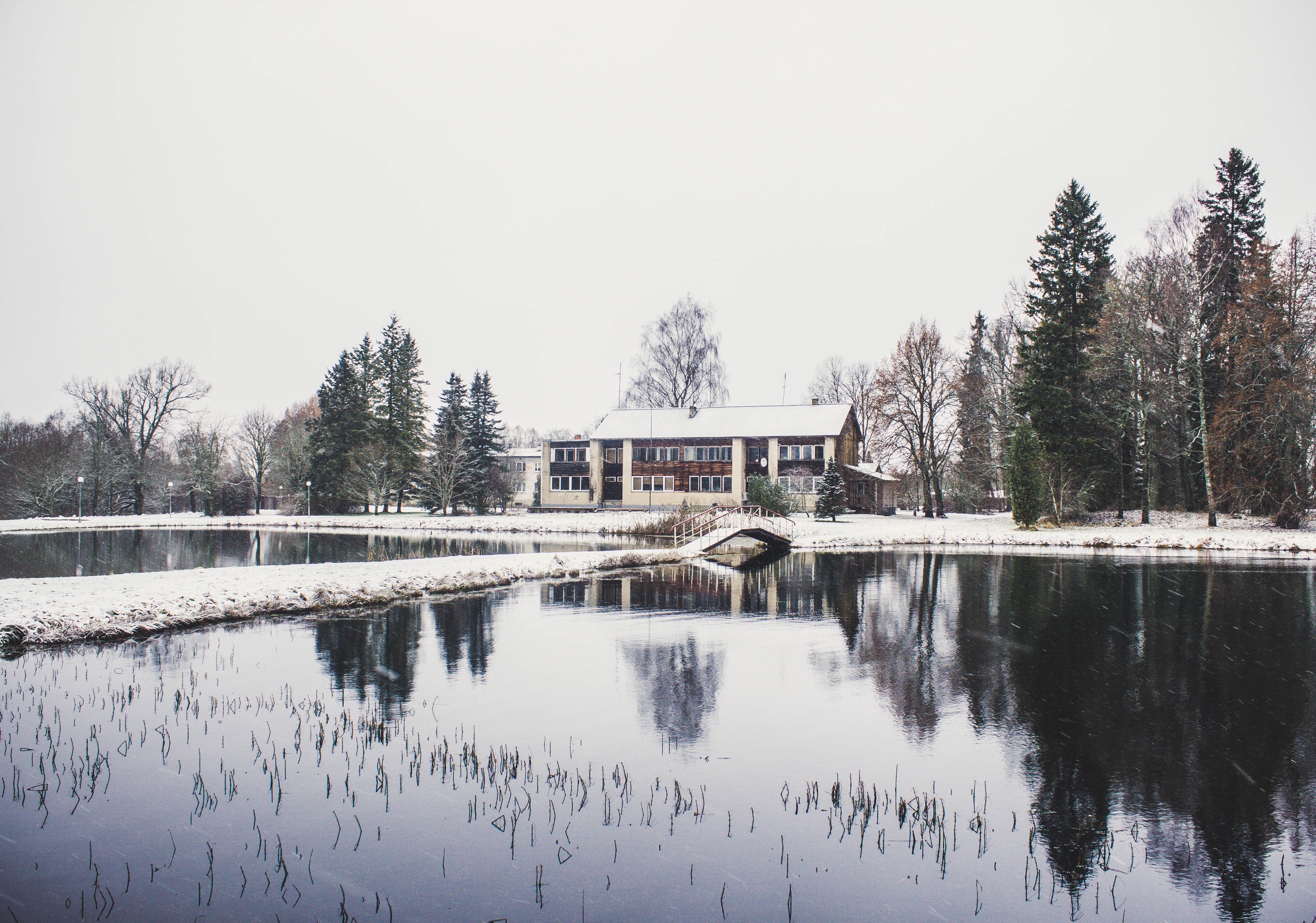 House surrounding by trees and body of water photography