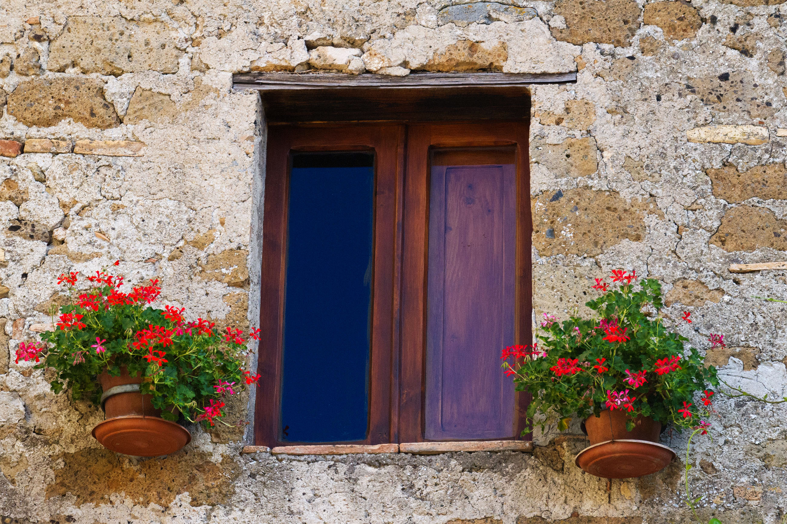 House window with flowers photo