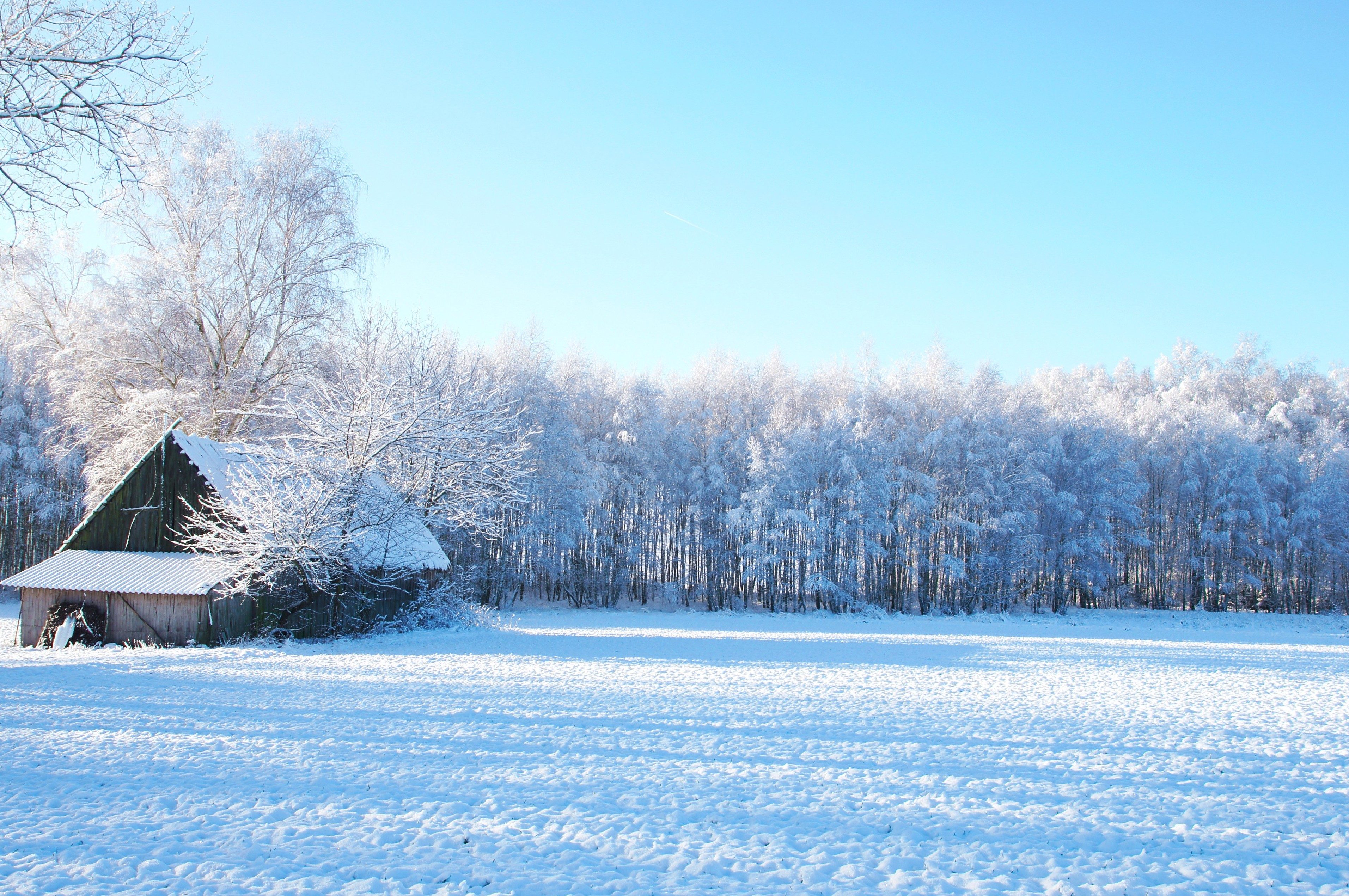Free picture: winter, landscape, trees, snow, field, barn house ...