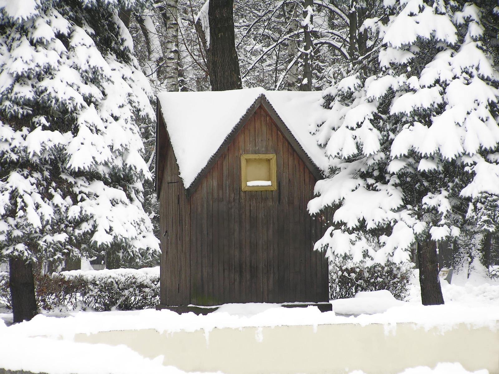 Brown wooden house in snowfield HD wallpaper | Wallpaper Flare