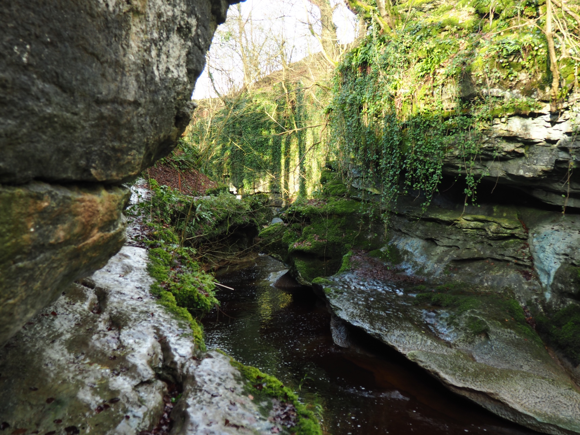How Stean Gorge & Woodale Moss | Walks | My Yorkshire Dales